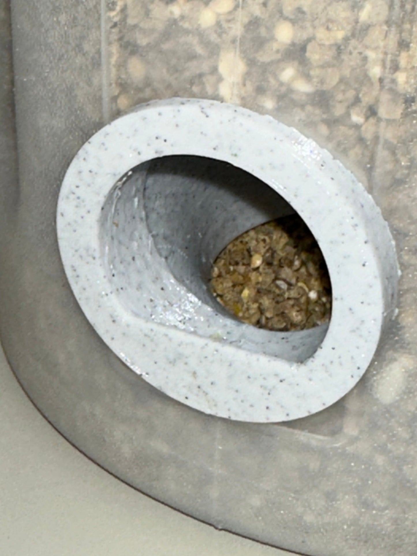 New Quail Feeder Container (1-Gallon) with 4-Ports