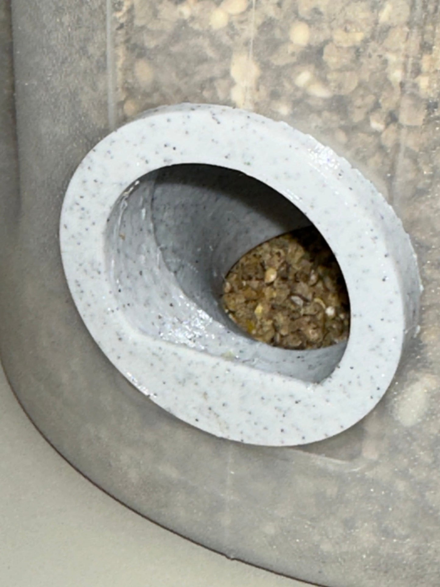 Quail Feeder with Side Glass Viewing Window (2.6 Quart)