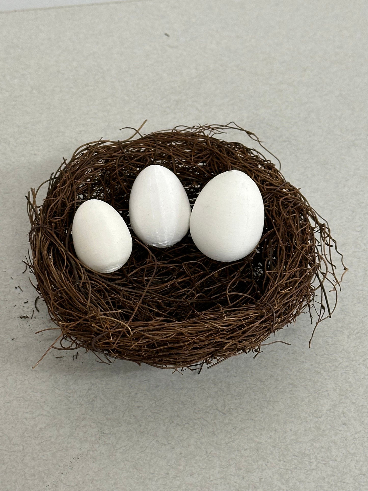 Dummy Eggs