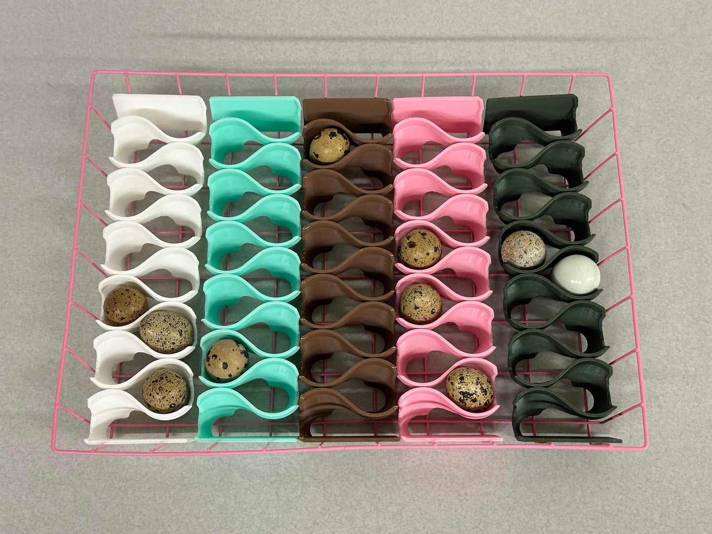 Coturnix Quail Egg Rectangular Basket (includes 5 egg trays)