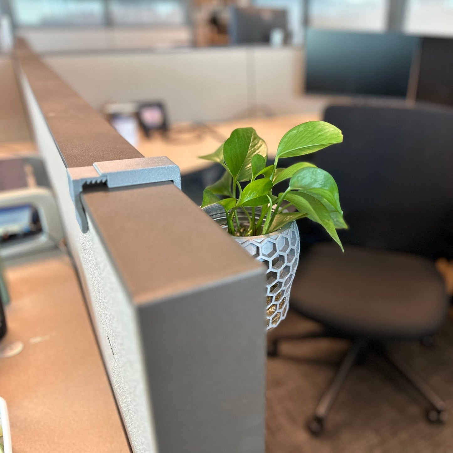 Water-Plant Wall Hanging Planter
