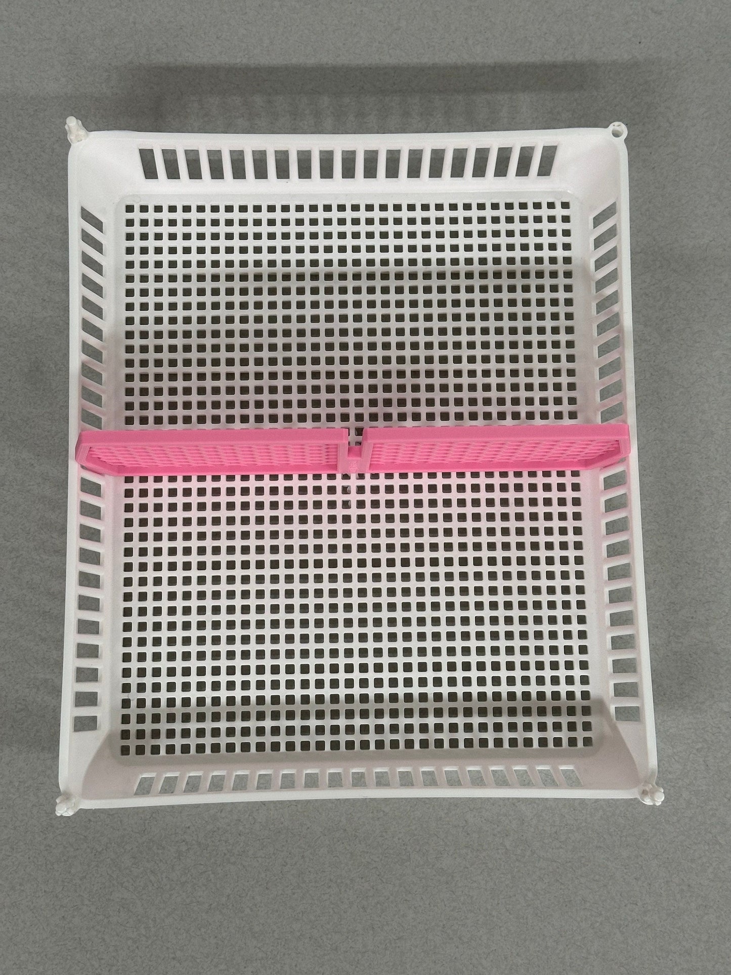 Divider for Cimuka Hatching Time Egg Hatching Basket (CS30)