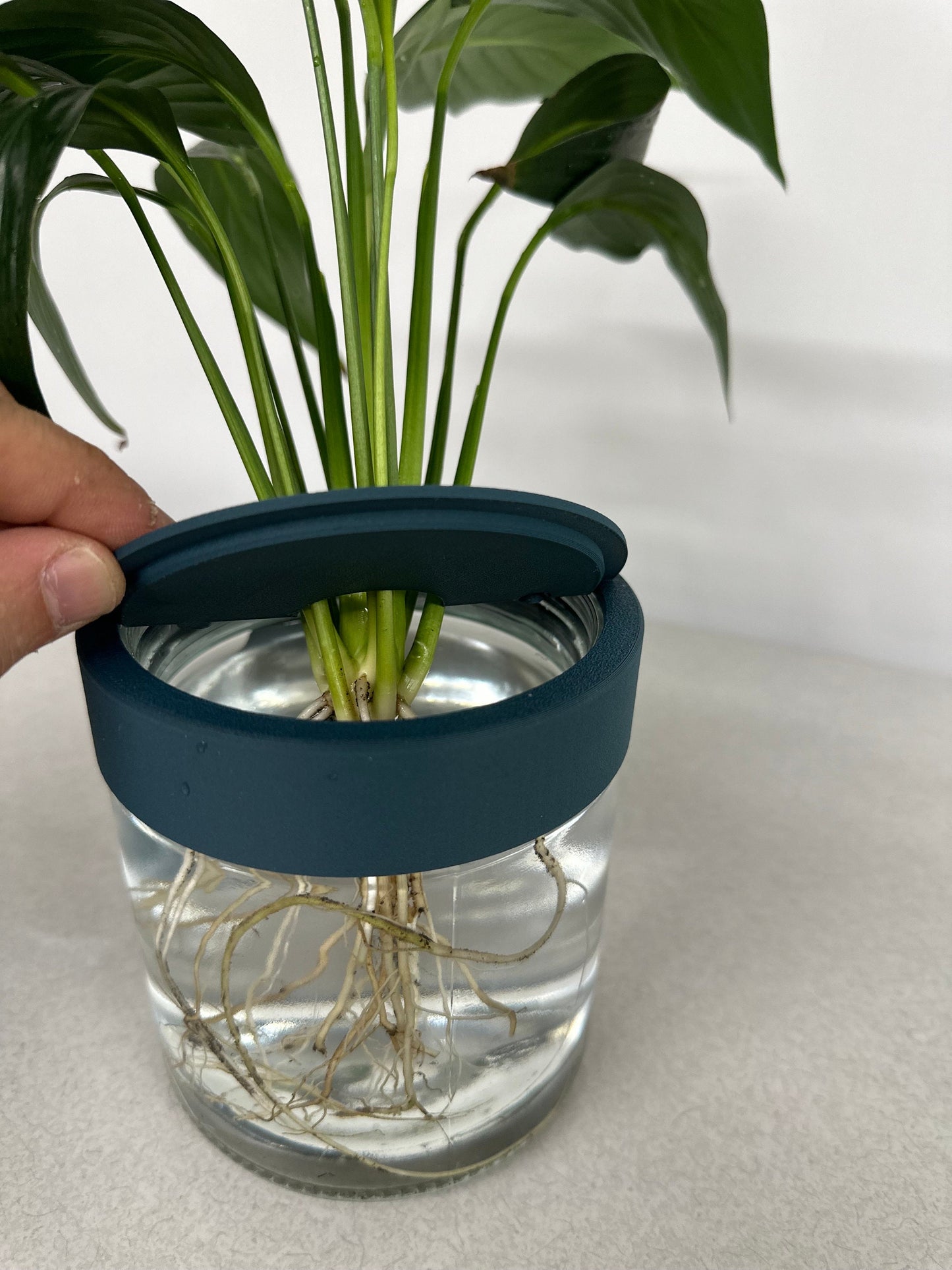 Water-Plant Wall Hanging Planter
