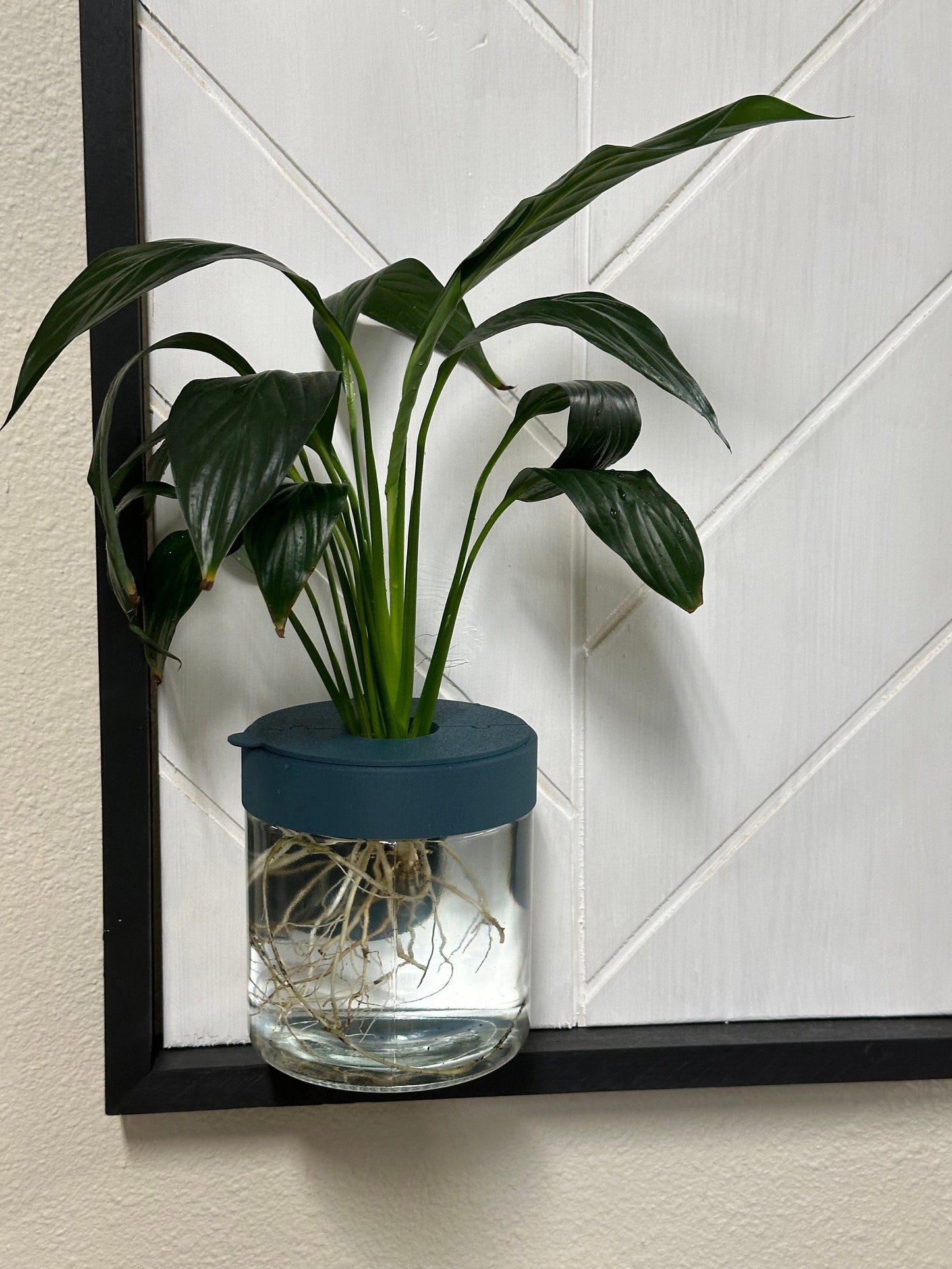 Water-Plant Wall Hanging Planter
