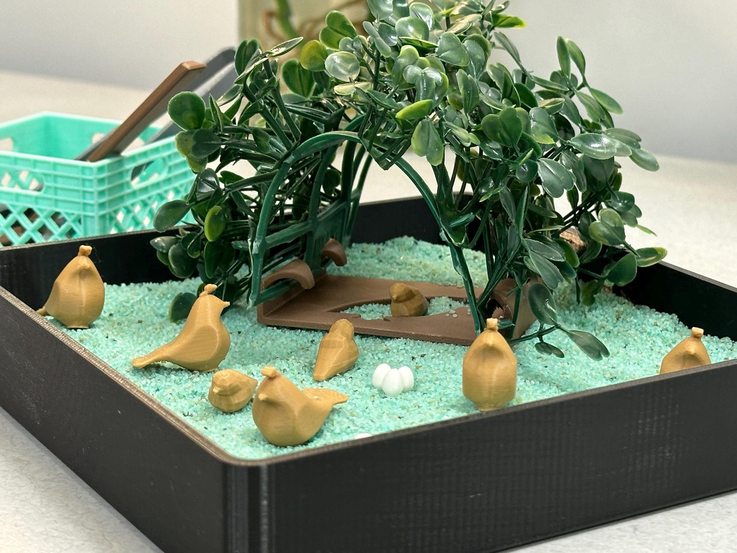 Quail Zen Garden