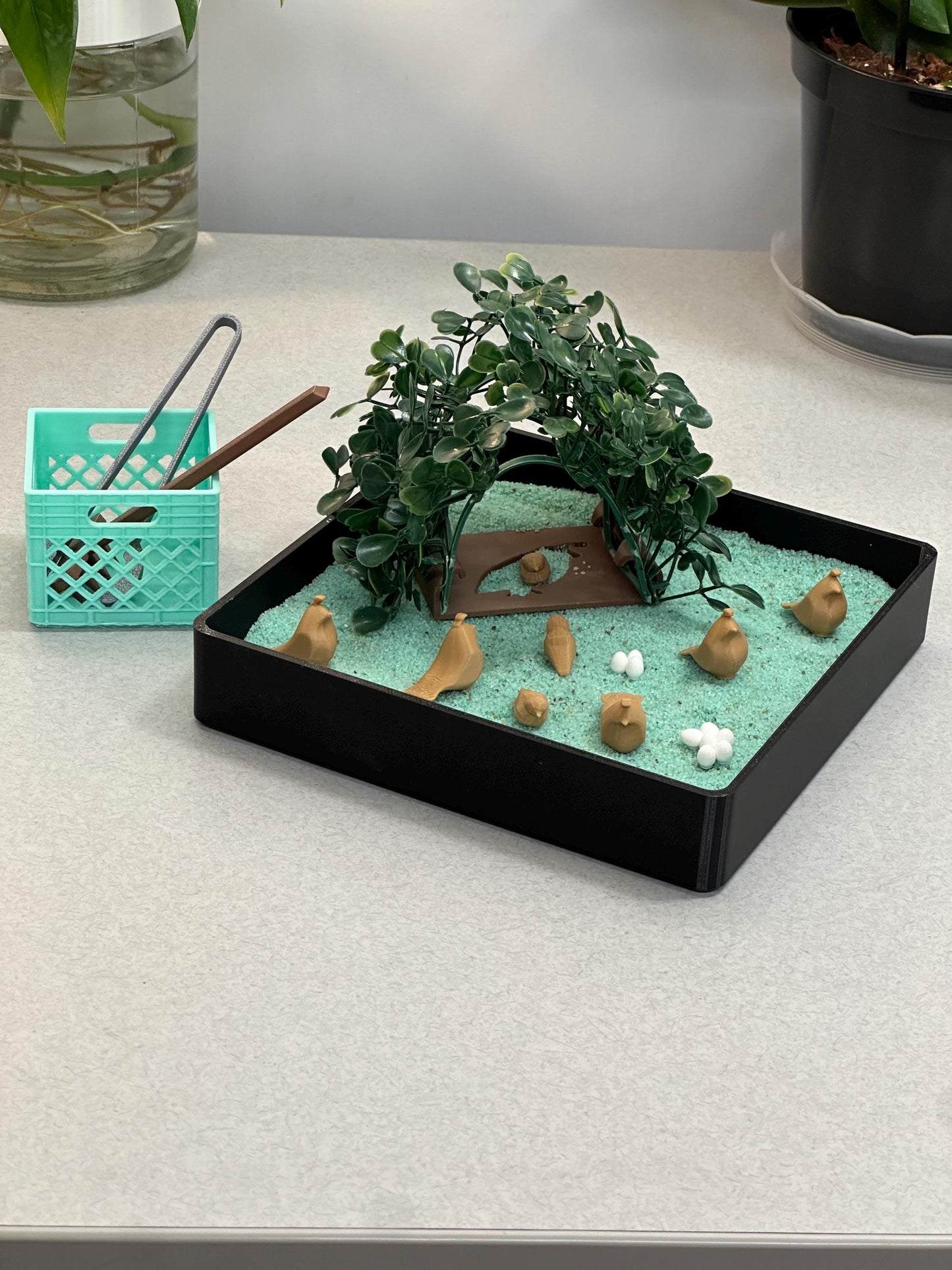 Quail Zen Garden