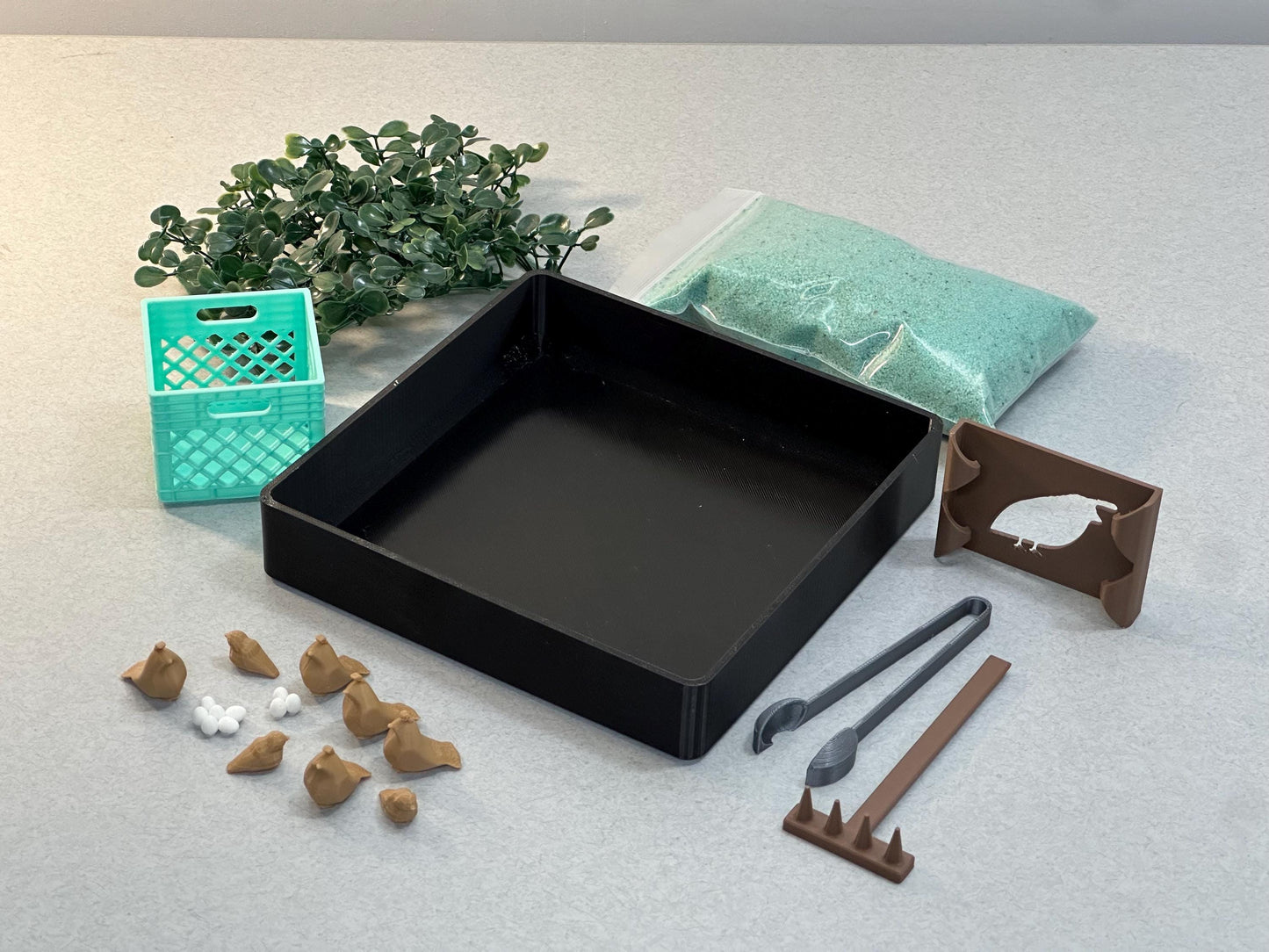 Quail Zen Garden