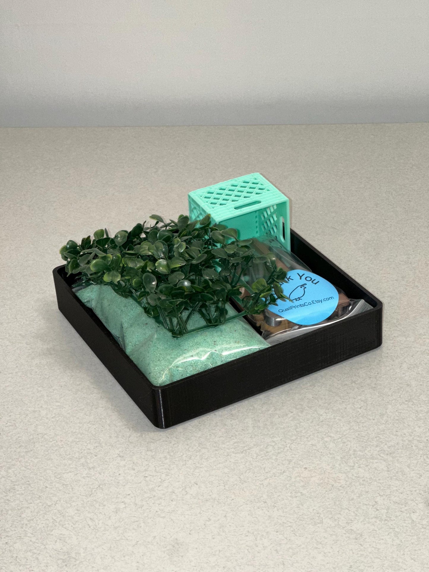 Quail Zen Garden