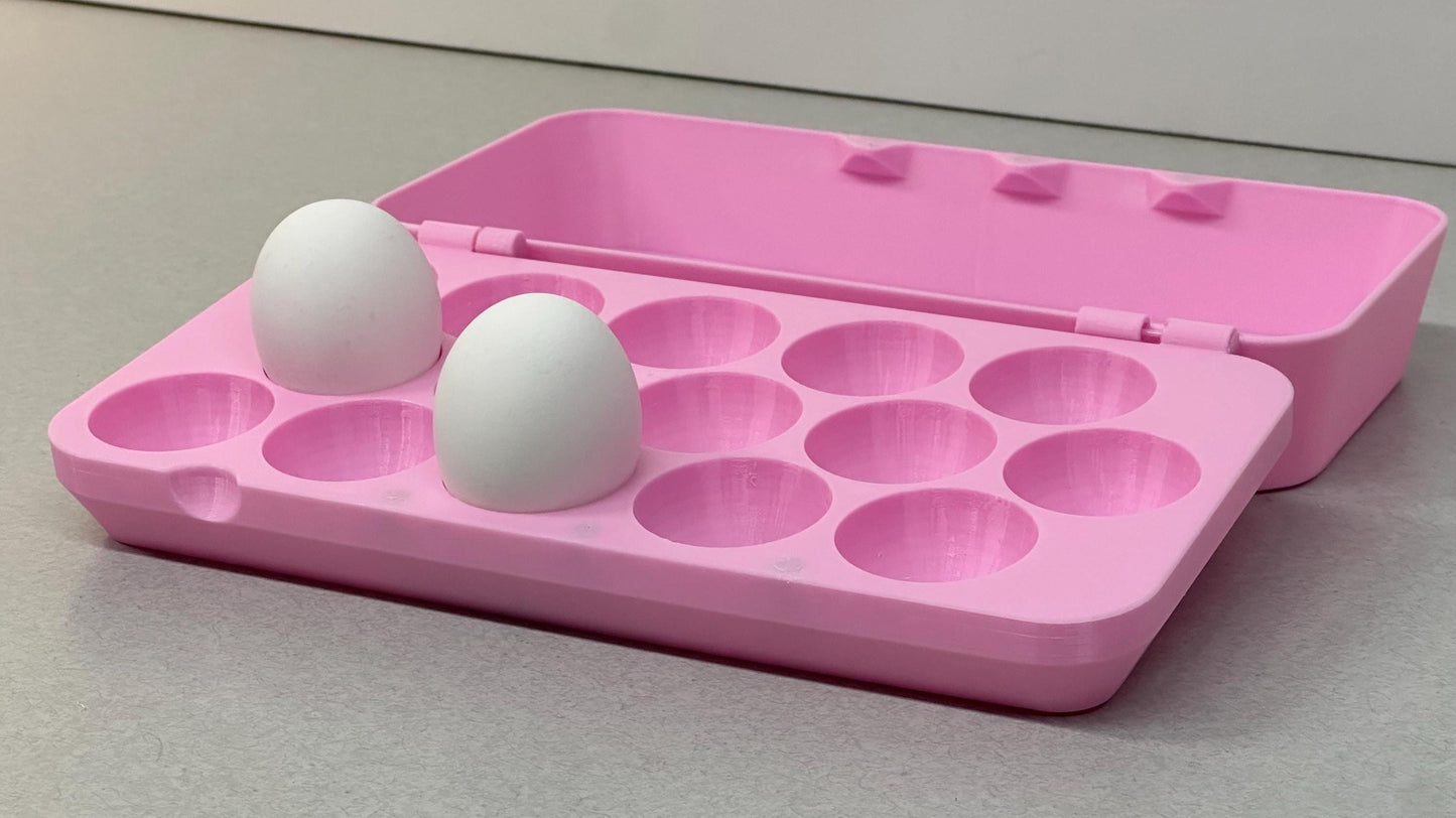 Modern Egg Carton for Small Chicken Eggs