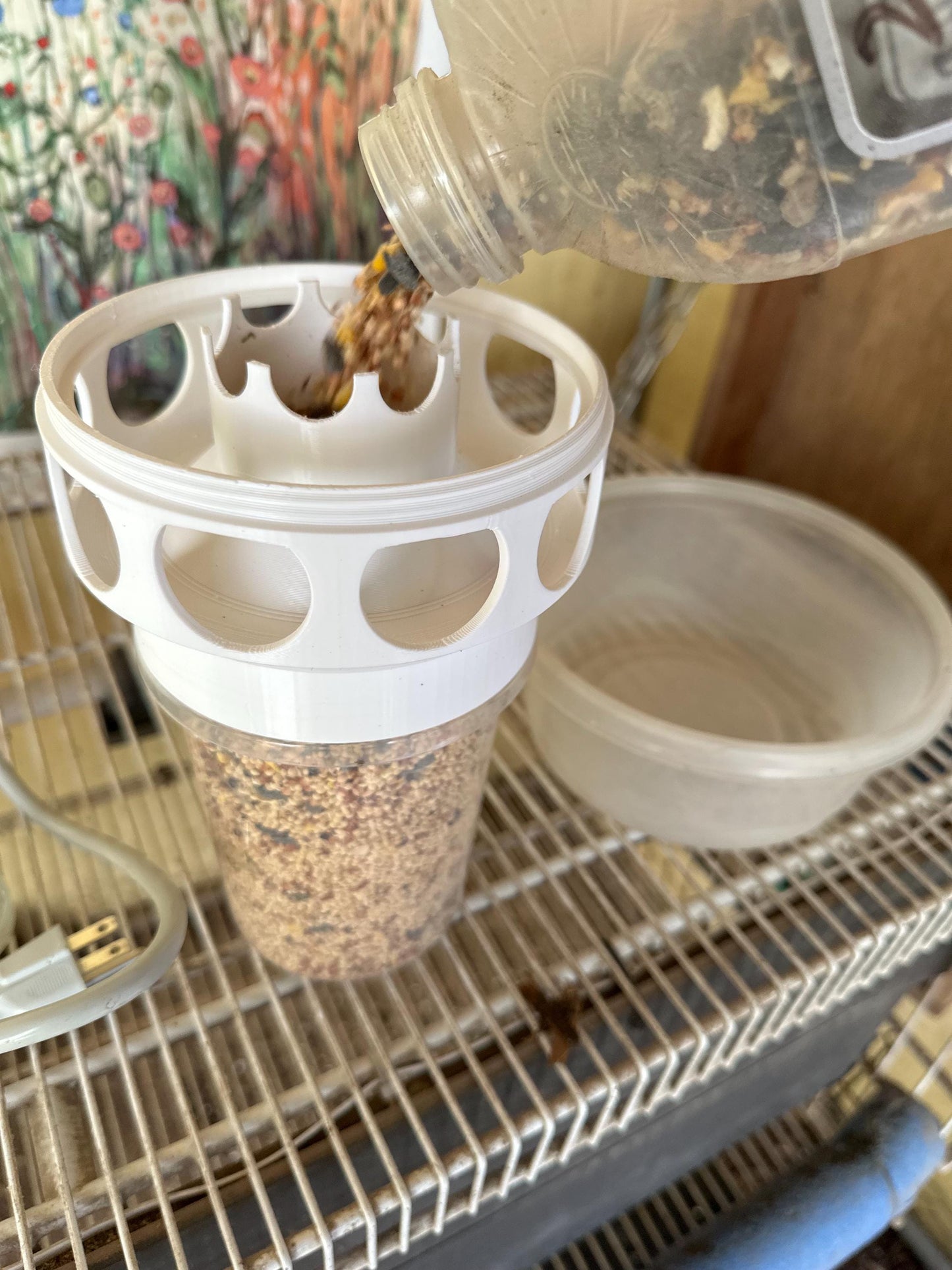 Coturnix Quail Feeder 10-Port Design