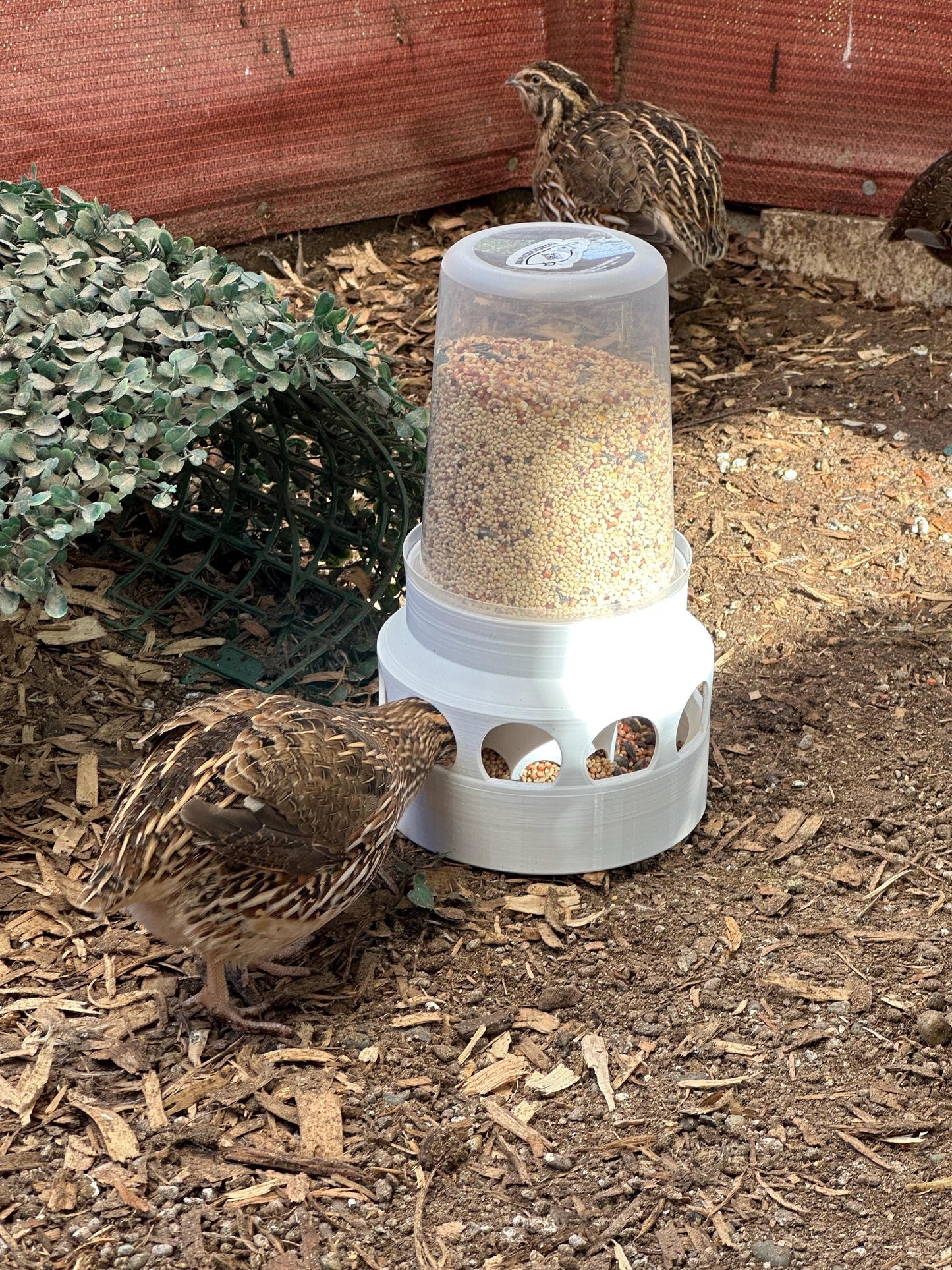 Coturnix Quail Feeder 10-Port Design