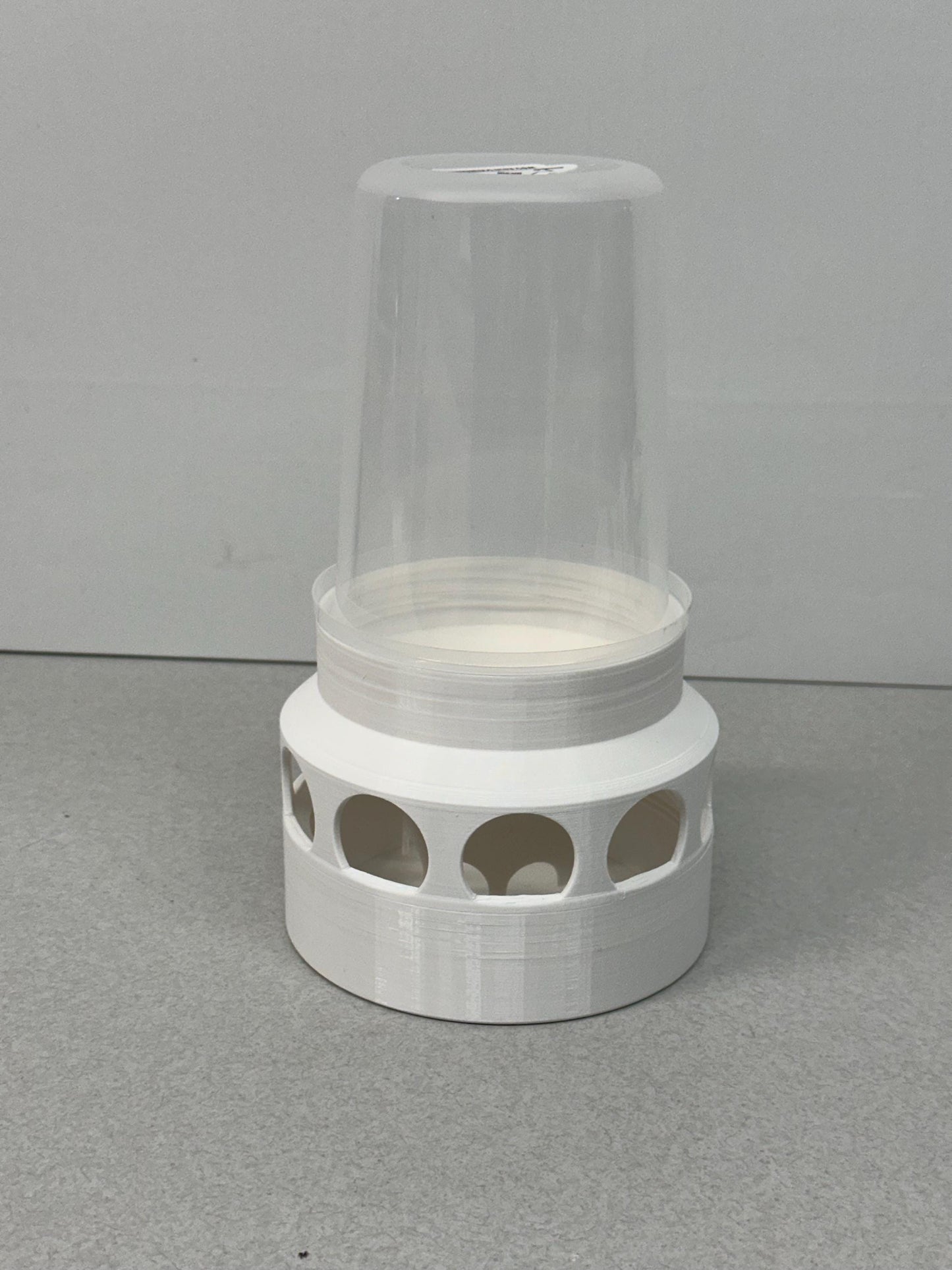 Coturnix Quail Feeder 10-Port Design