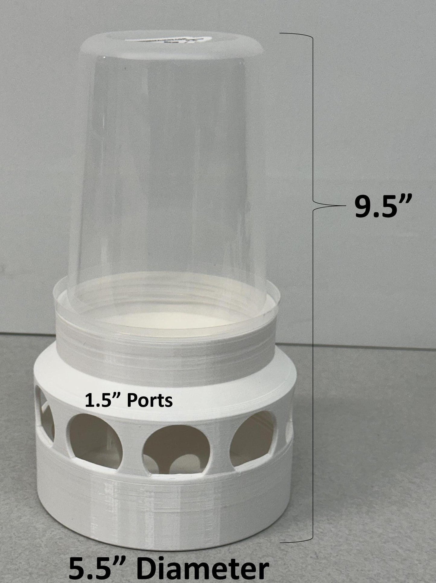 Coturnix Quail Feeder 10-Port Design