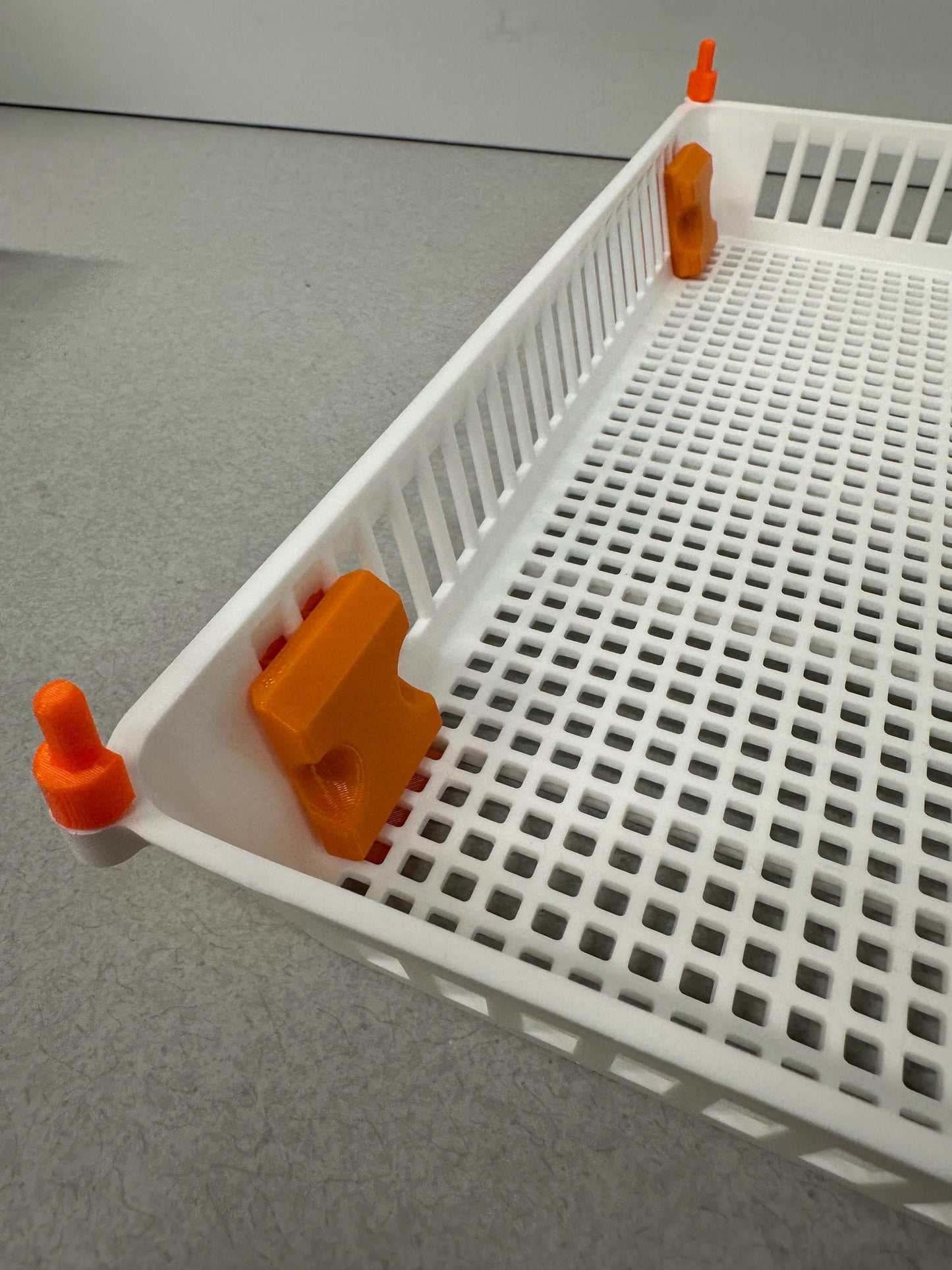 Hatching Time Basket Feet