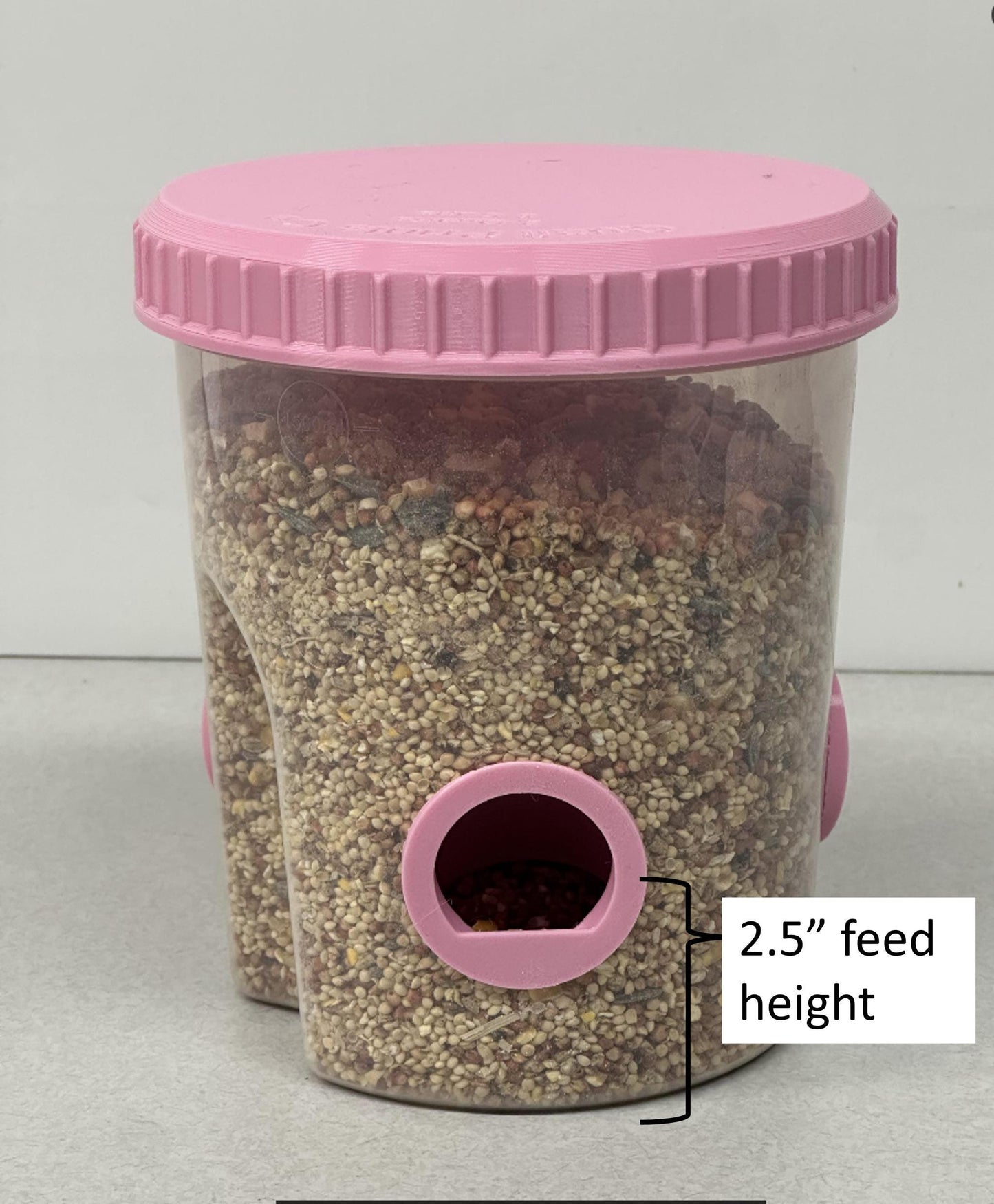 Quail Feeder Container with 3-Ports