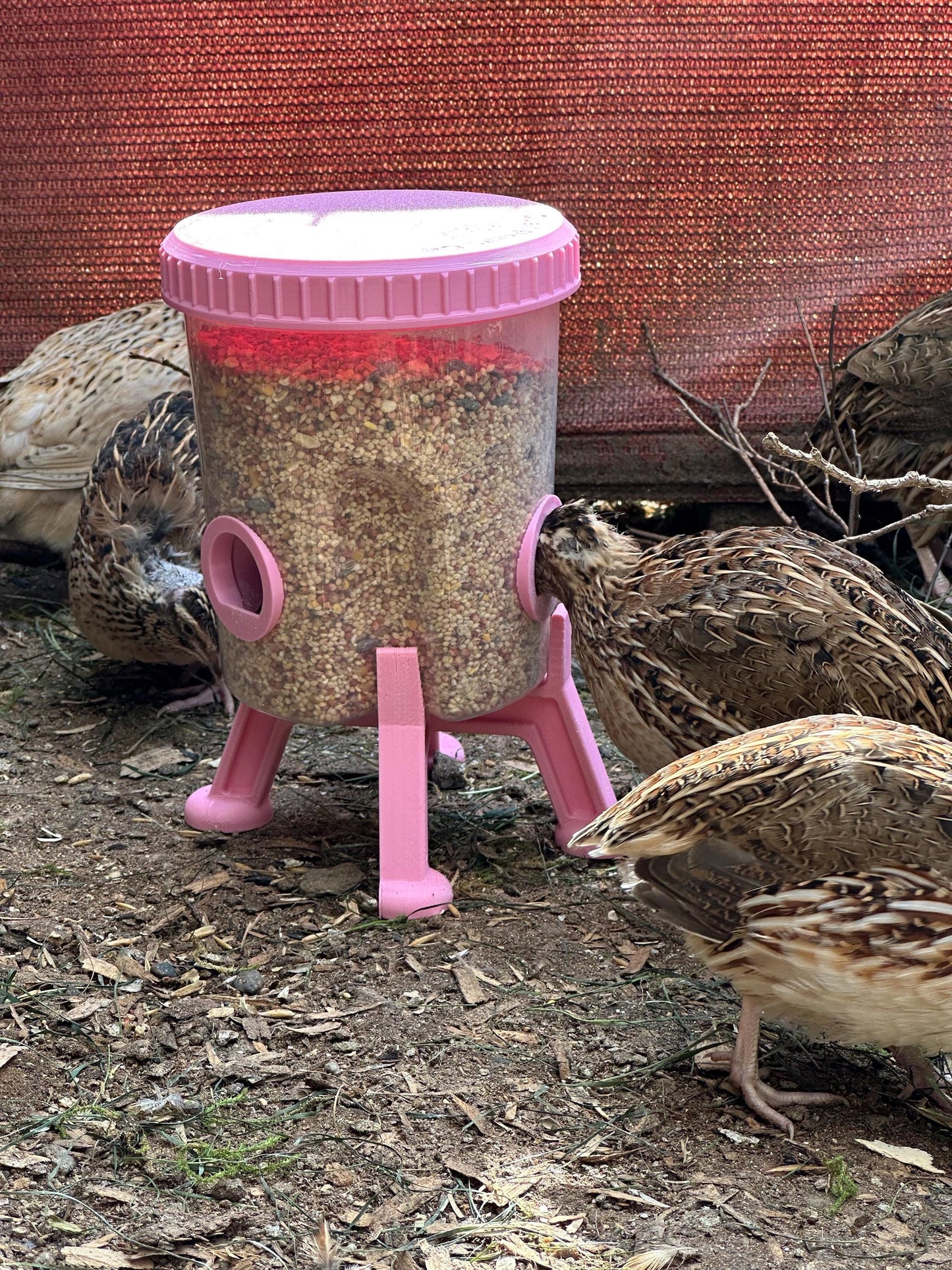 Quail Feeder Container with 3-Ports