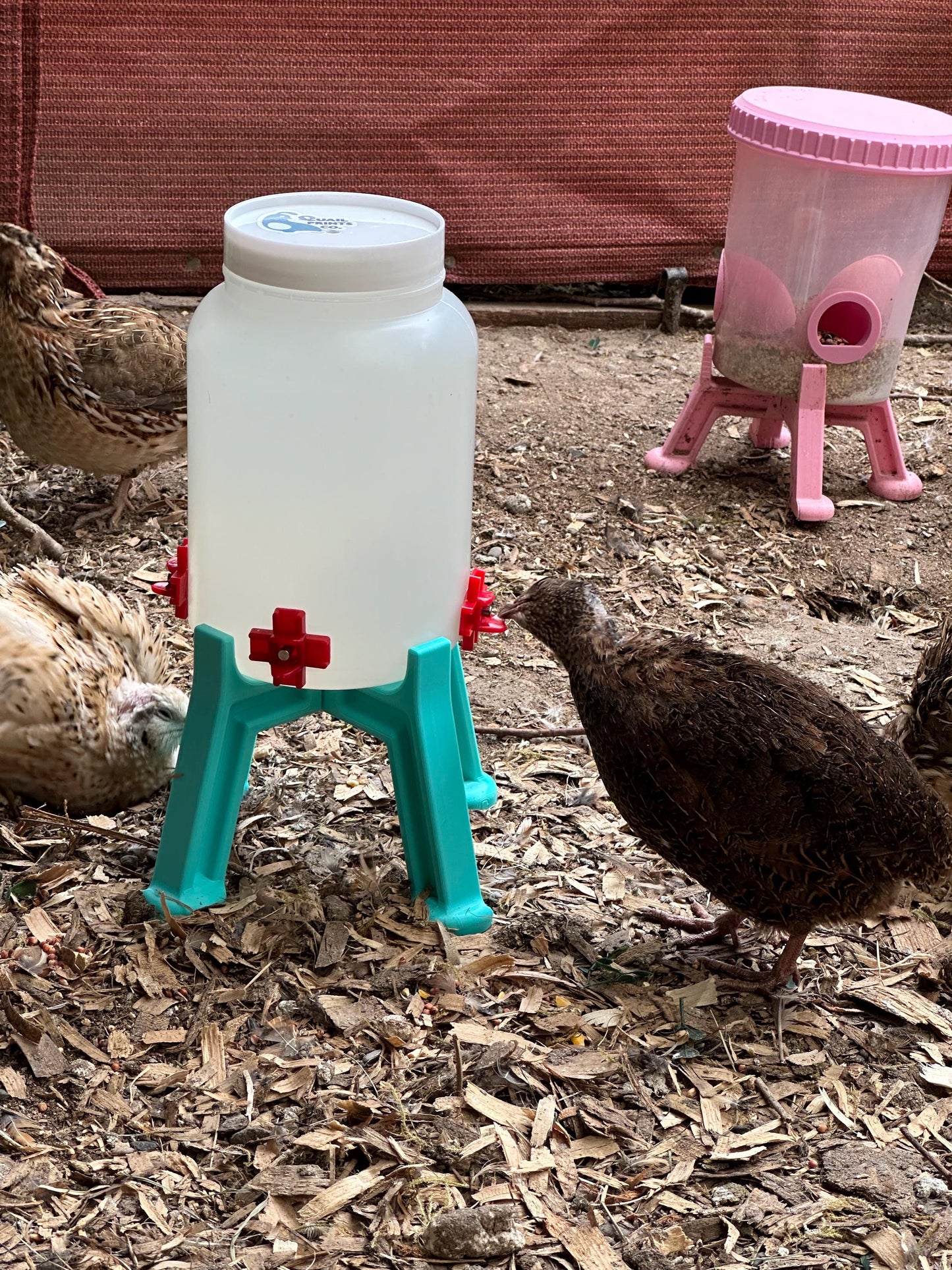 Quail Waterer with 4 Spring-Loaded Water Nipples