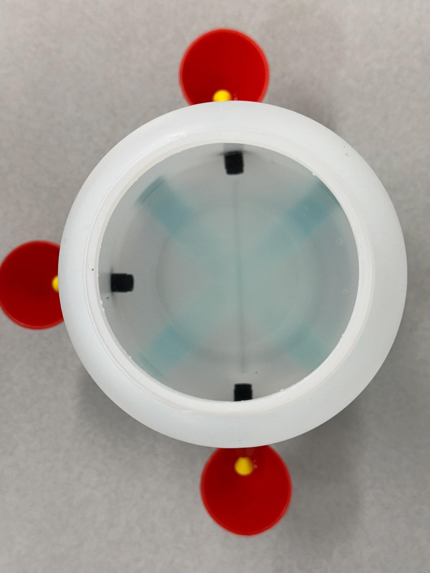 Chicken Chick Waterer
