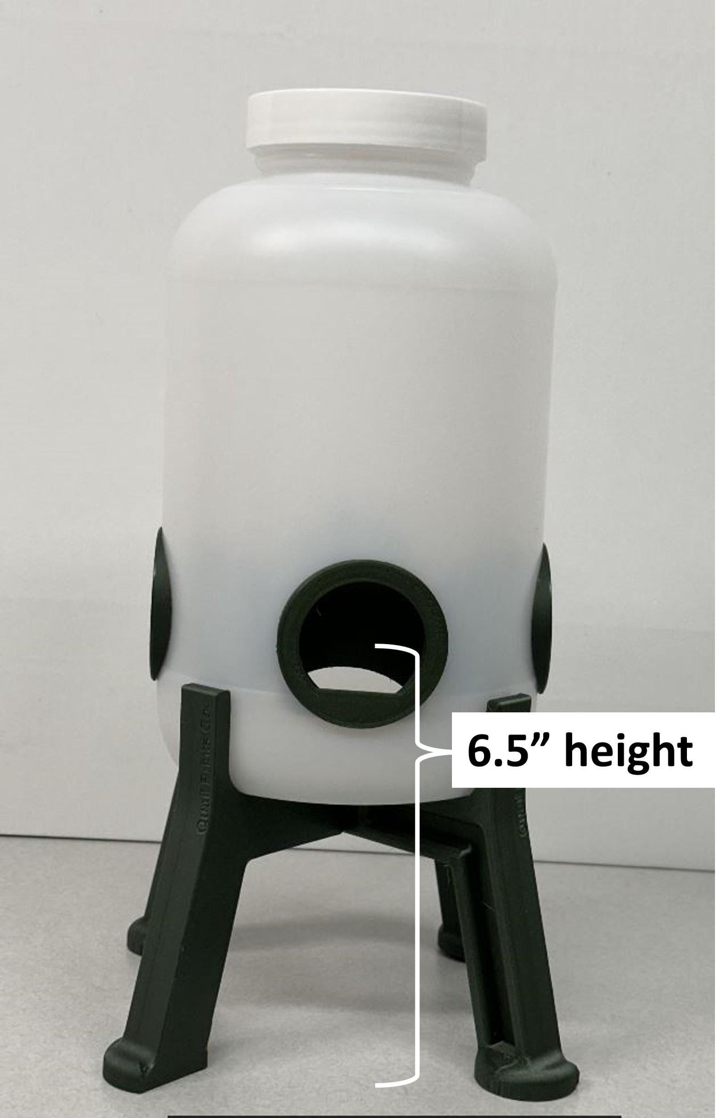 Young Chicken Feeder Container
