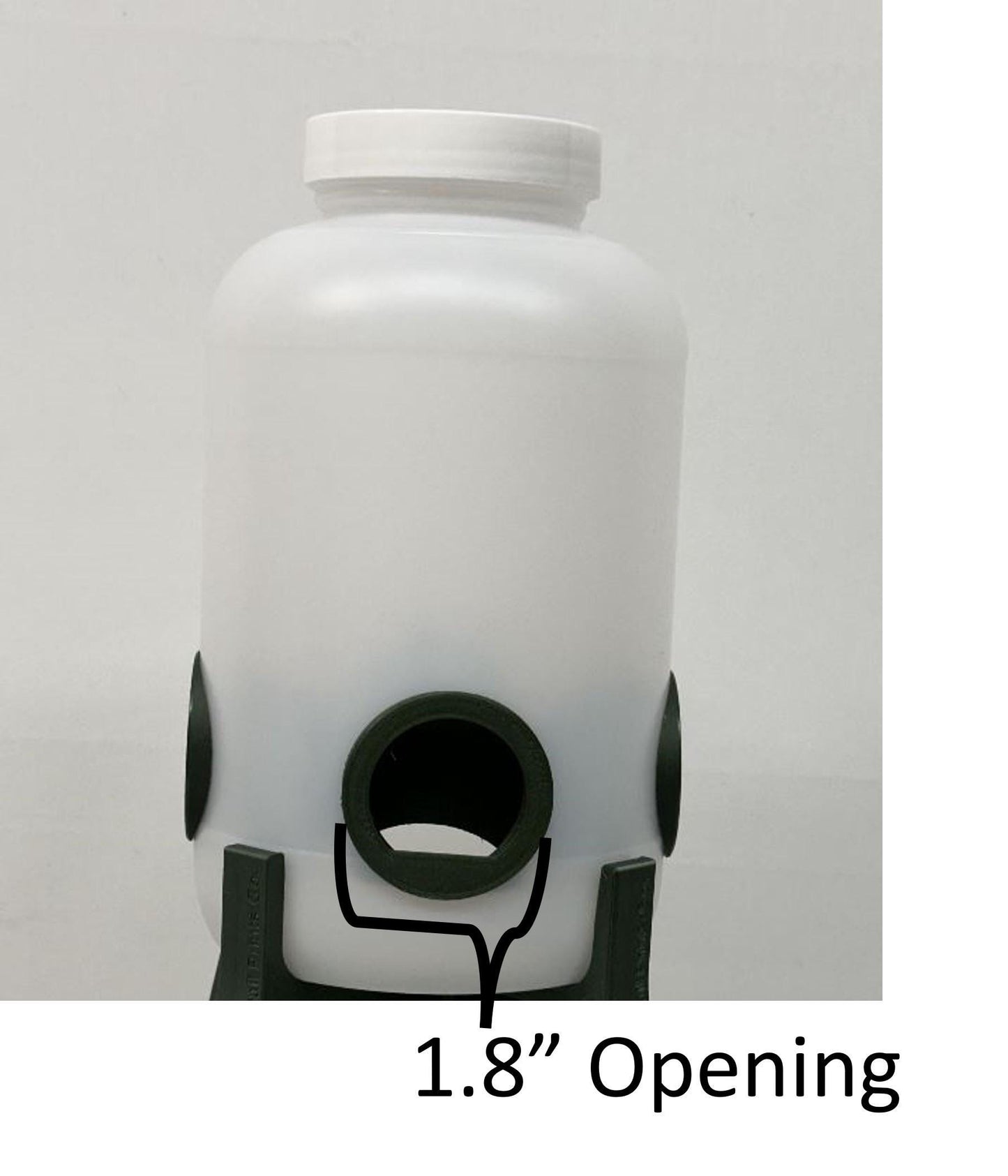 Young Chicken Feeder Container