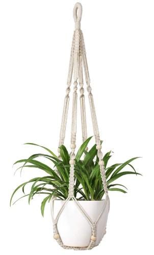 Cubicle Wall Hanging Plant Hook
