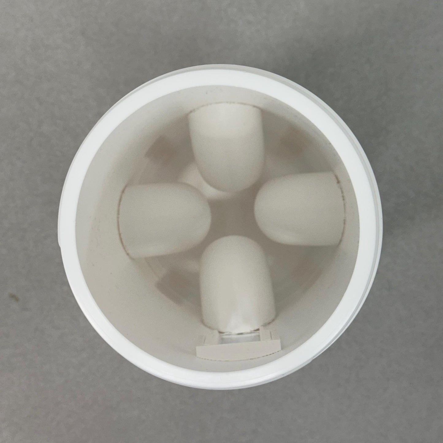 Quail Feeder with Side Glass Viewing Window (2.6 Quart)