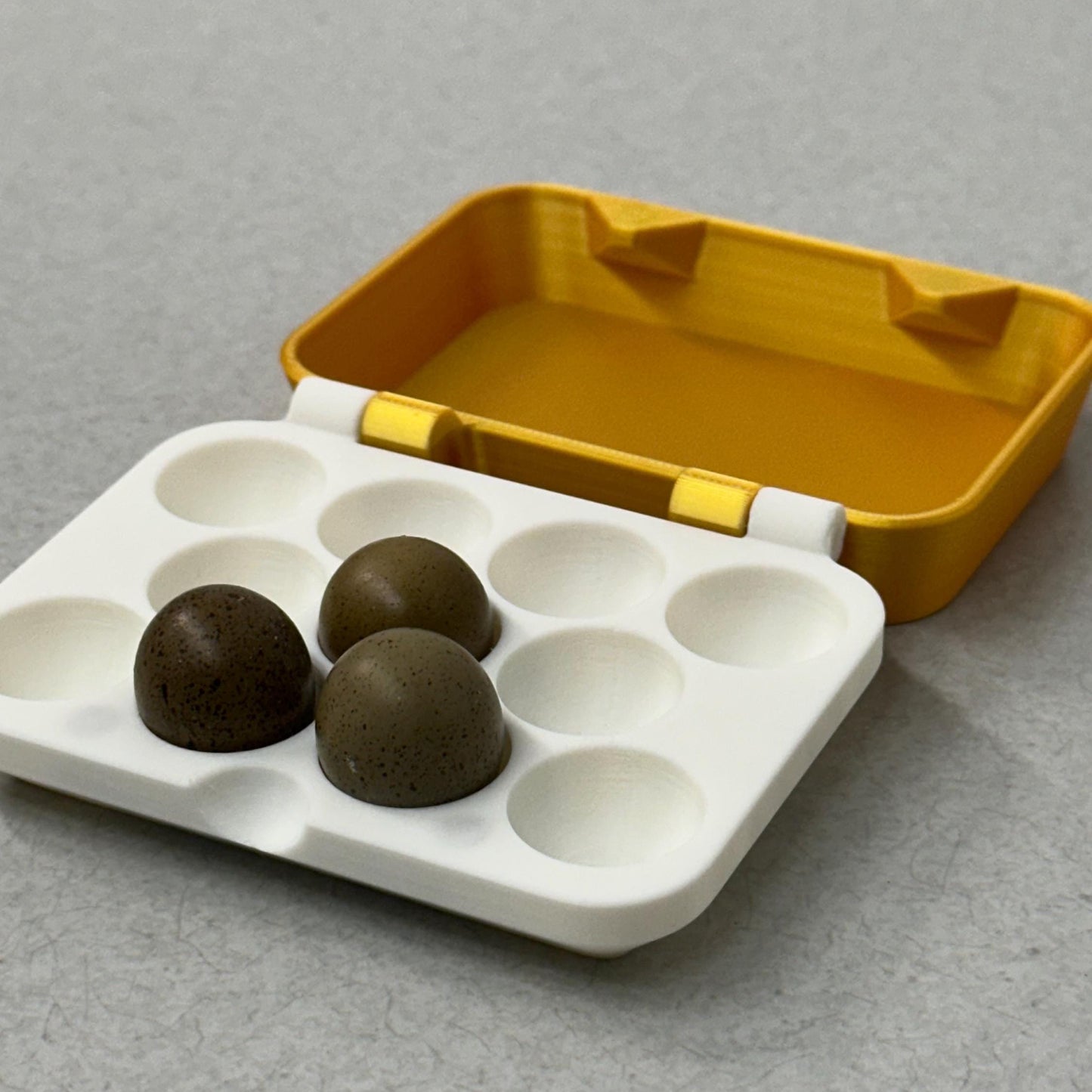 Modern Egg Carton for Button Quail or Parrot Eggs
