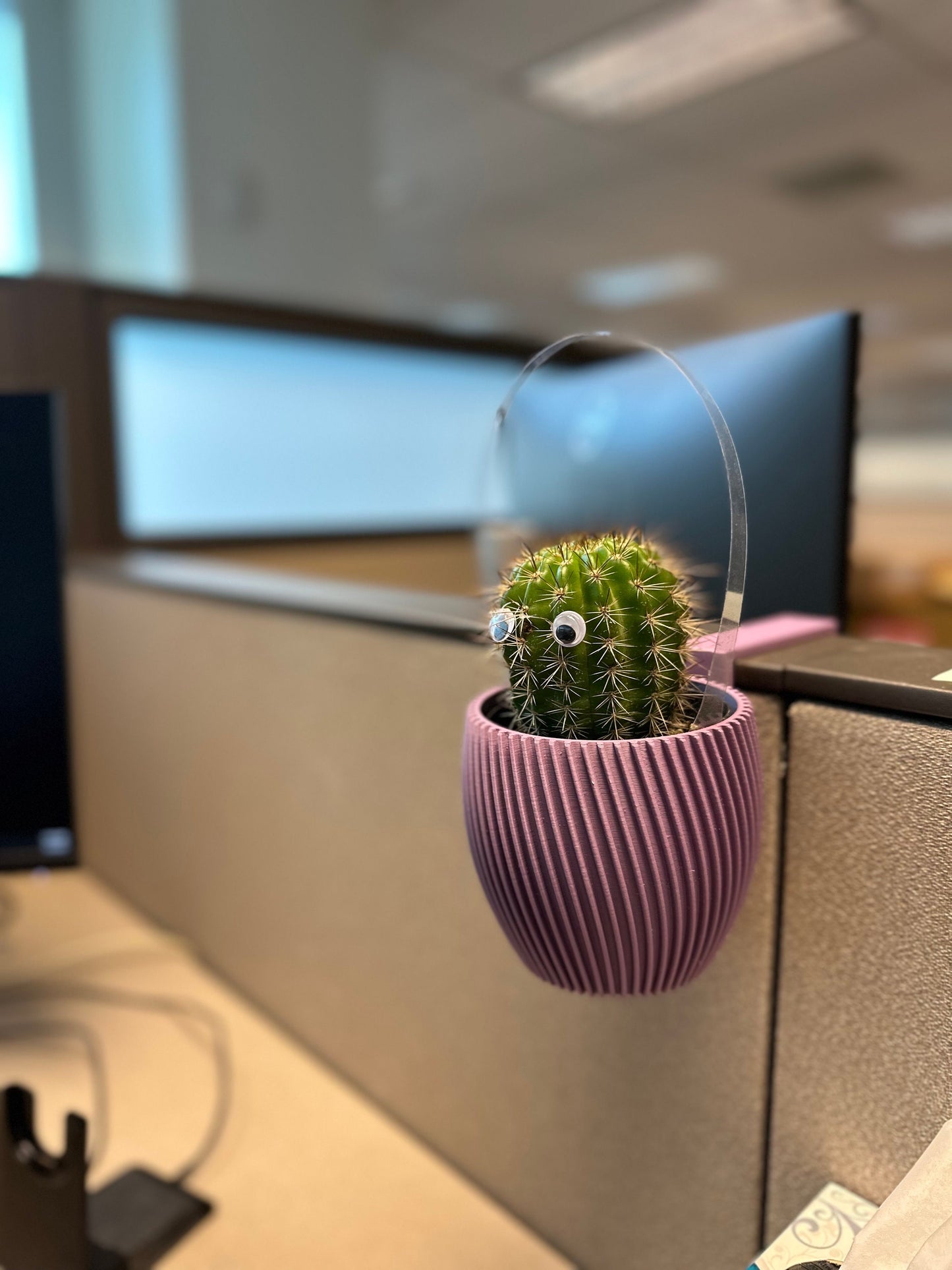 Wall Planter