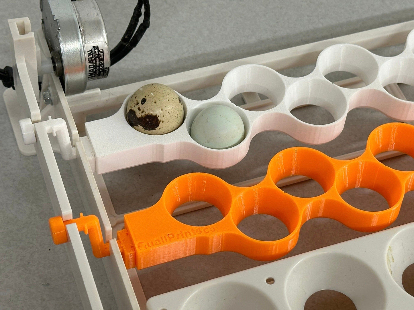 Hova-Bator 1610 or Little Giant Incubators Quail Egg Racks for Turner