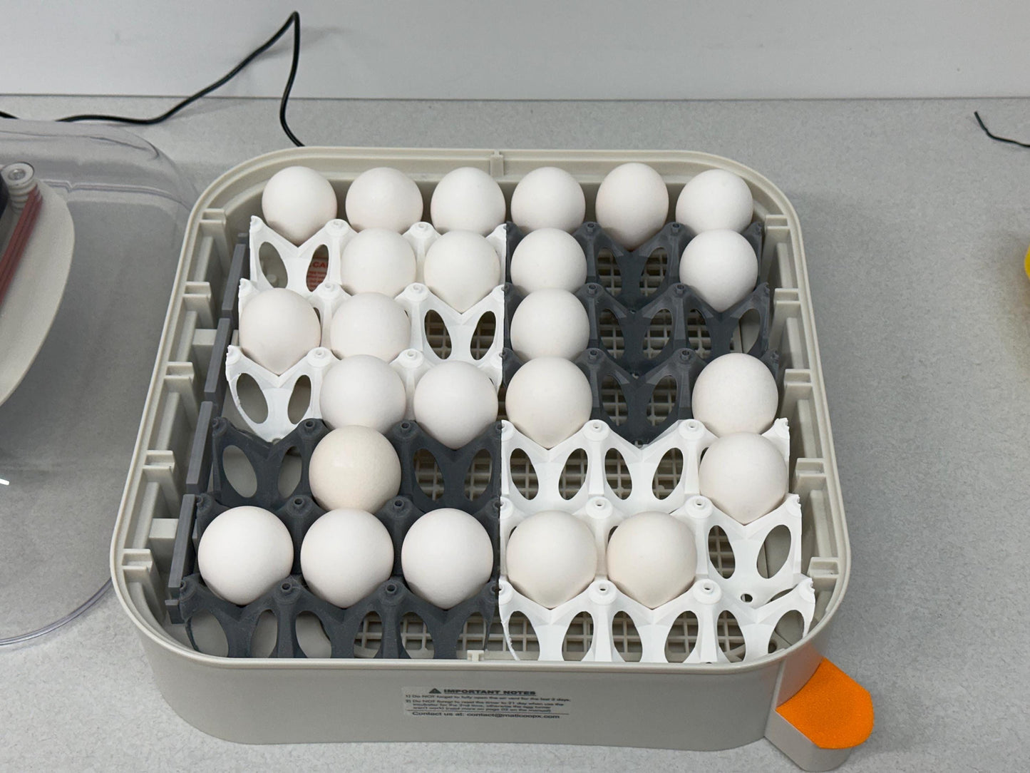 Upright Egg Support Tray for Maticoopx 30