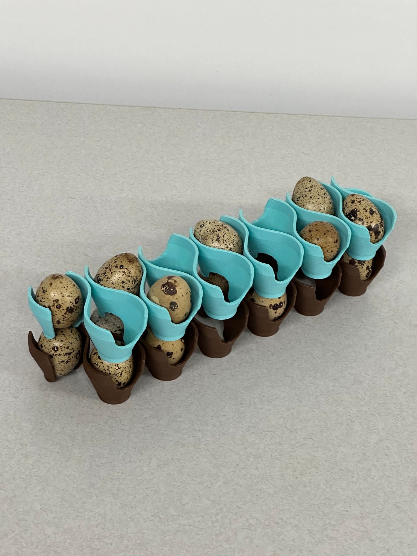 Jumbo Coturnix Quail Egg Stackable Tray
