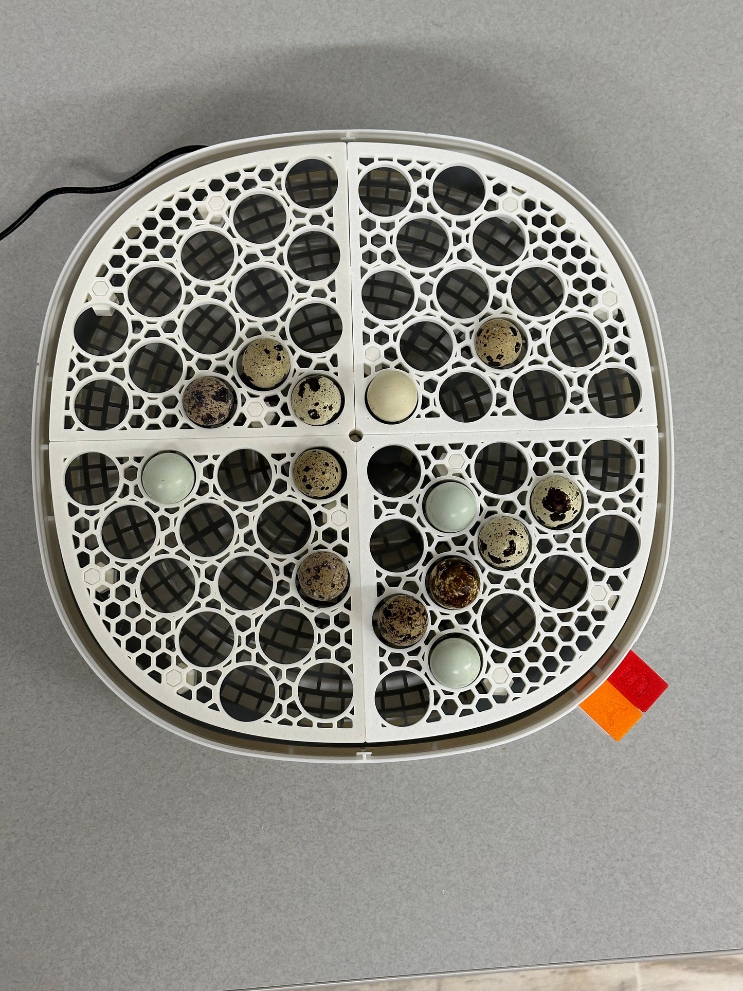 Vertical Incubator Trays for Nurture Right 360