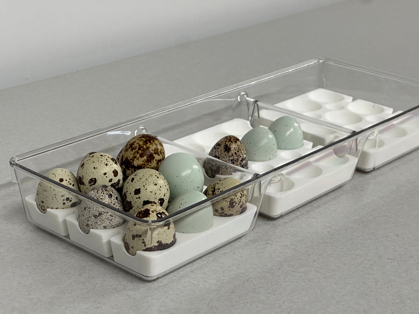 Custom Coturnix Quail Egg Tray System