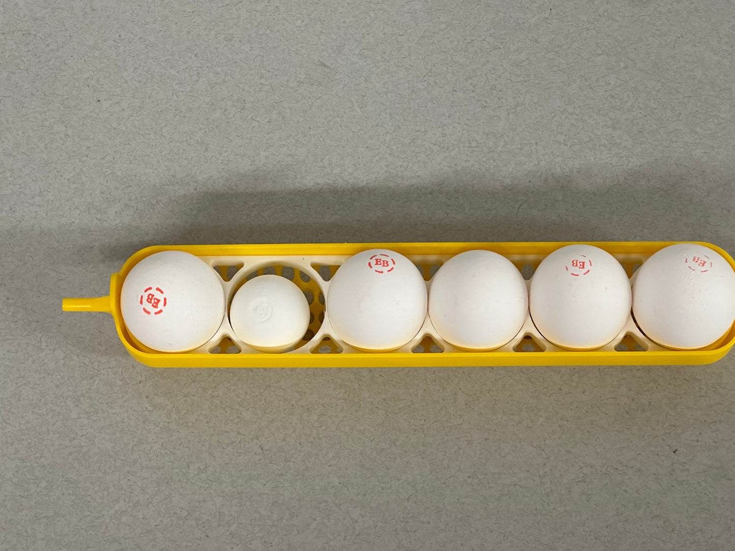 Maticoopx Chicken Egg Rack for Incubators