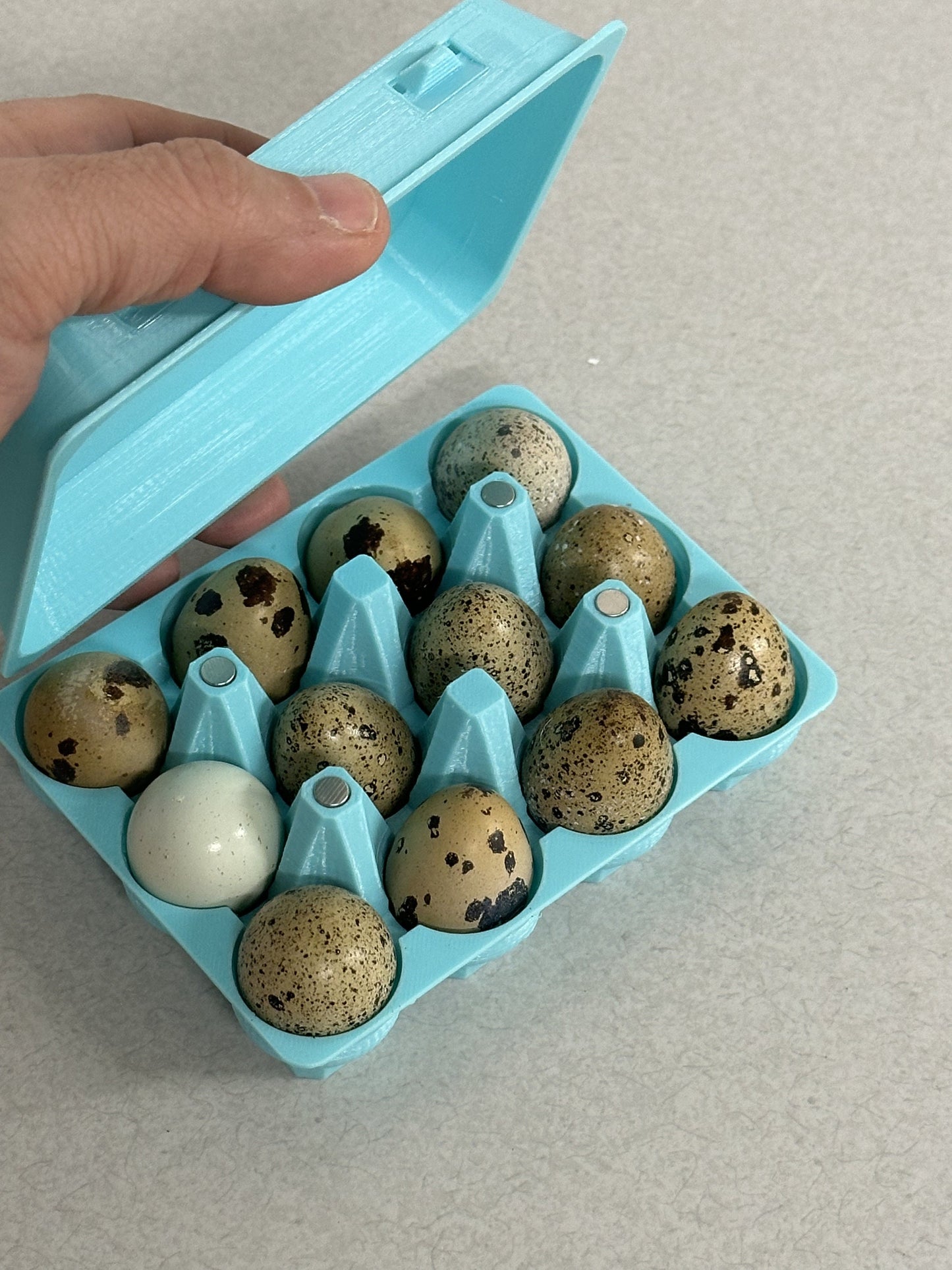 Adorable Classic Coturnix Quail Egg Carton