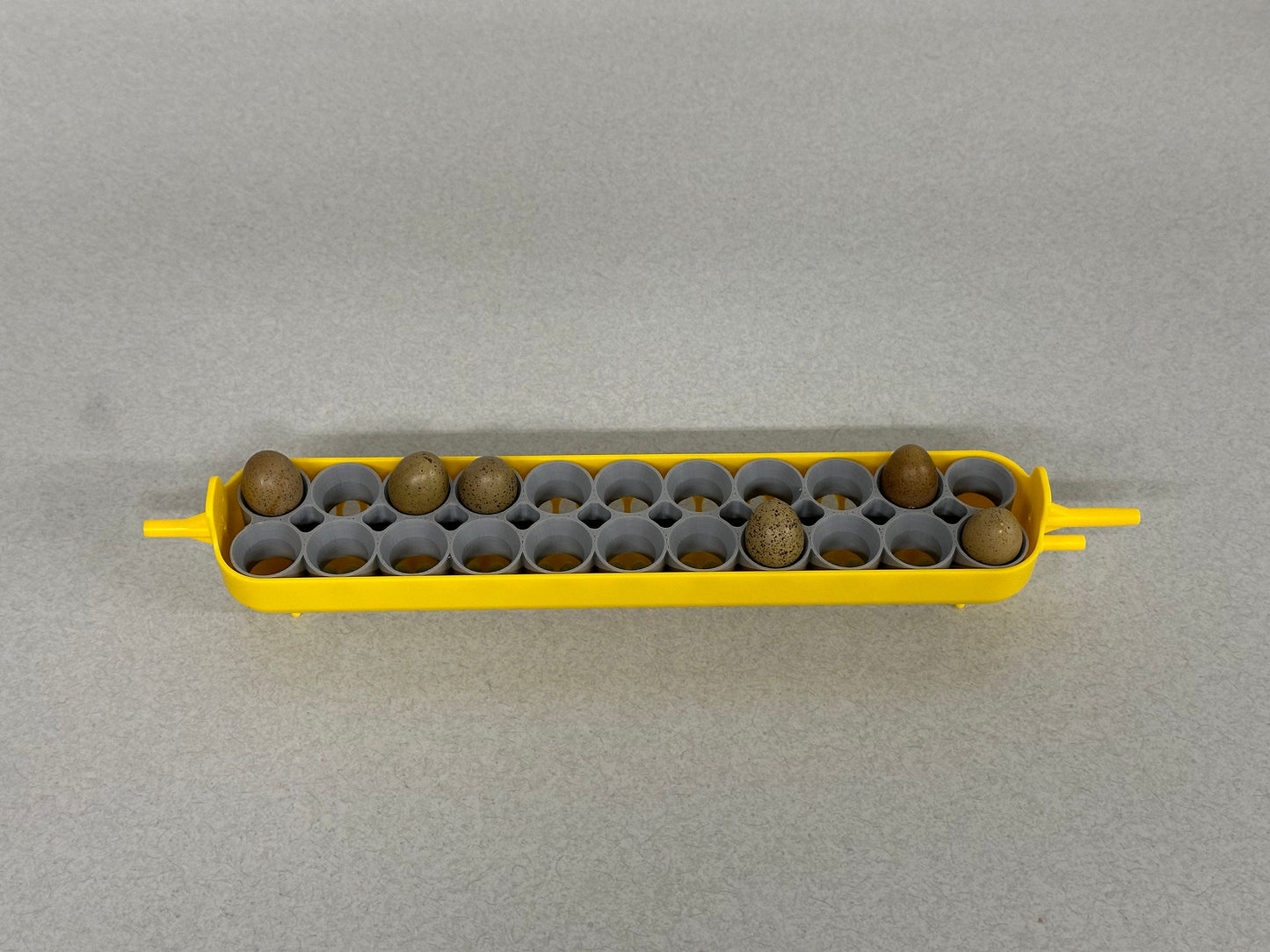 Maticoopx Tiny Button Quail Egg Rack for Incubators