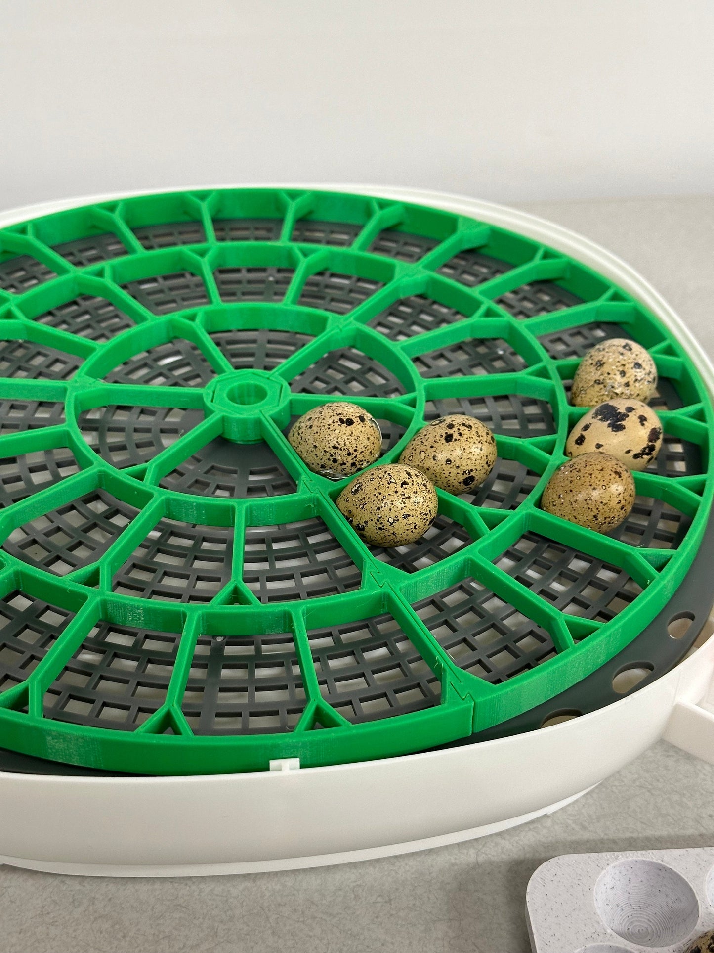 Nurture Right 360 Incubator Trays for Egg Turner