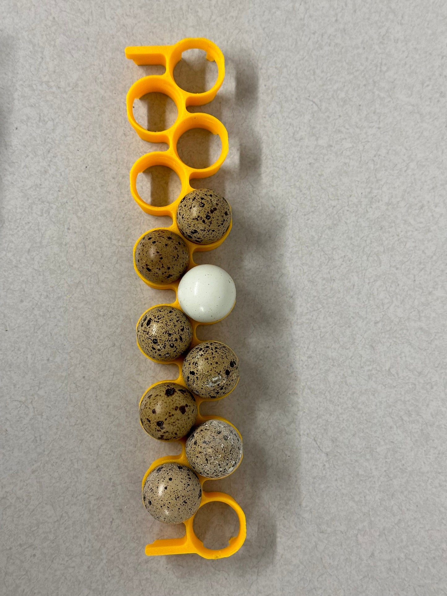 Cimuka CT120 Quail Egg Rack for Incubators