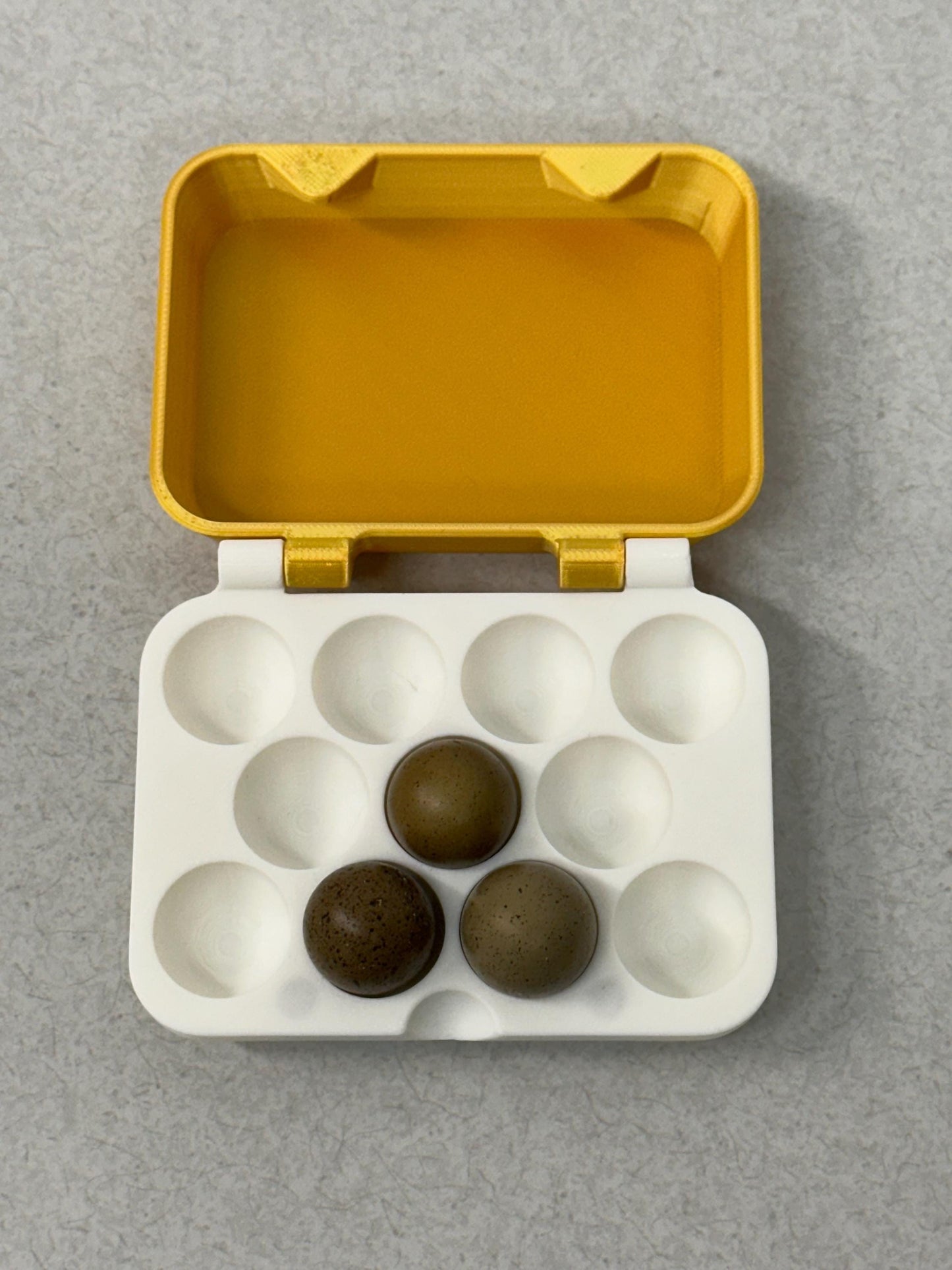 Modern Egg Carton for Button Quail or Parrot Eggs