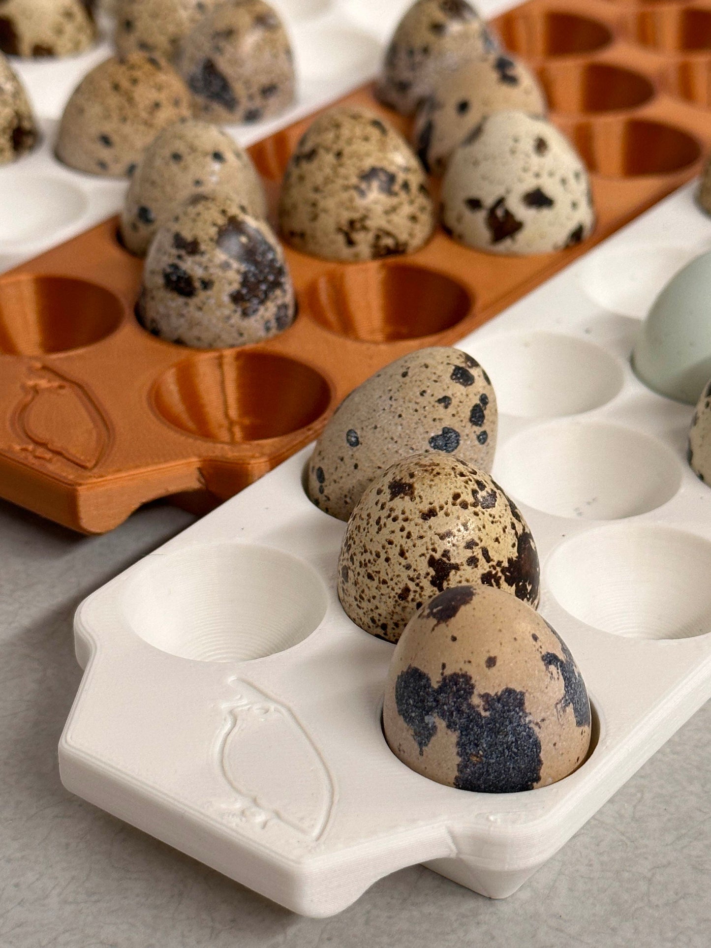 Custom Coturnix Quail Egg Tray with Handles