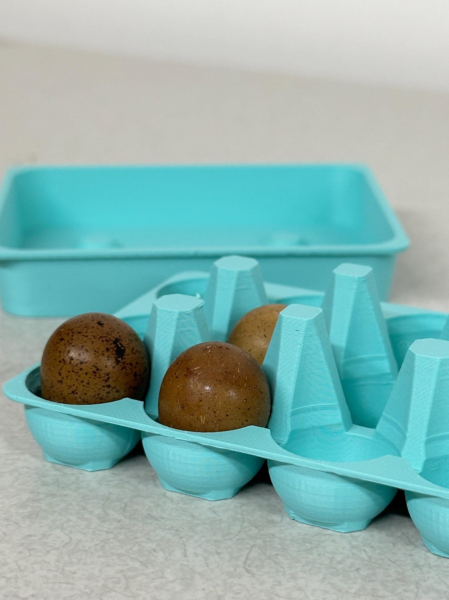 Button Quail Egg Carton