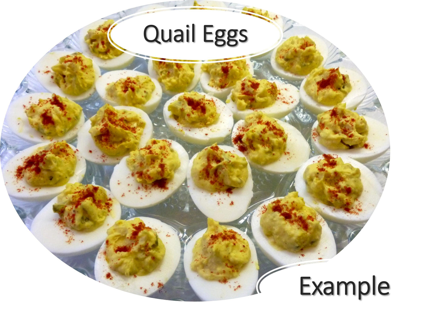 Custom Quail Deviled Eggs Circular Platters