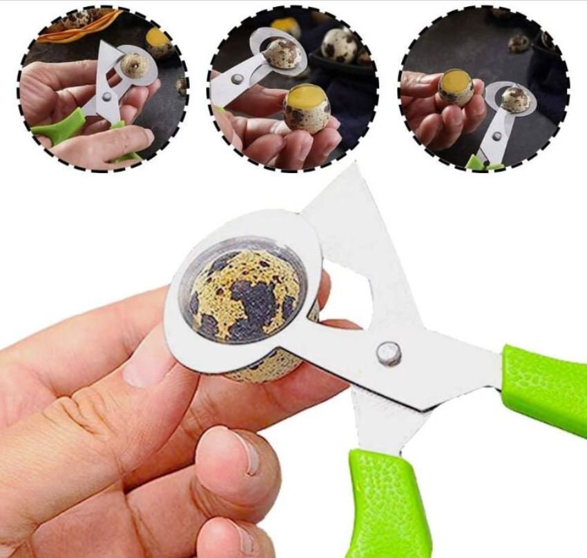 Quail Egg Scissor and Cover