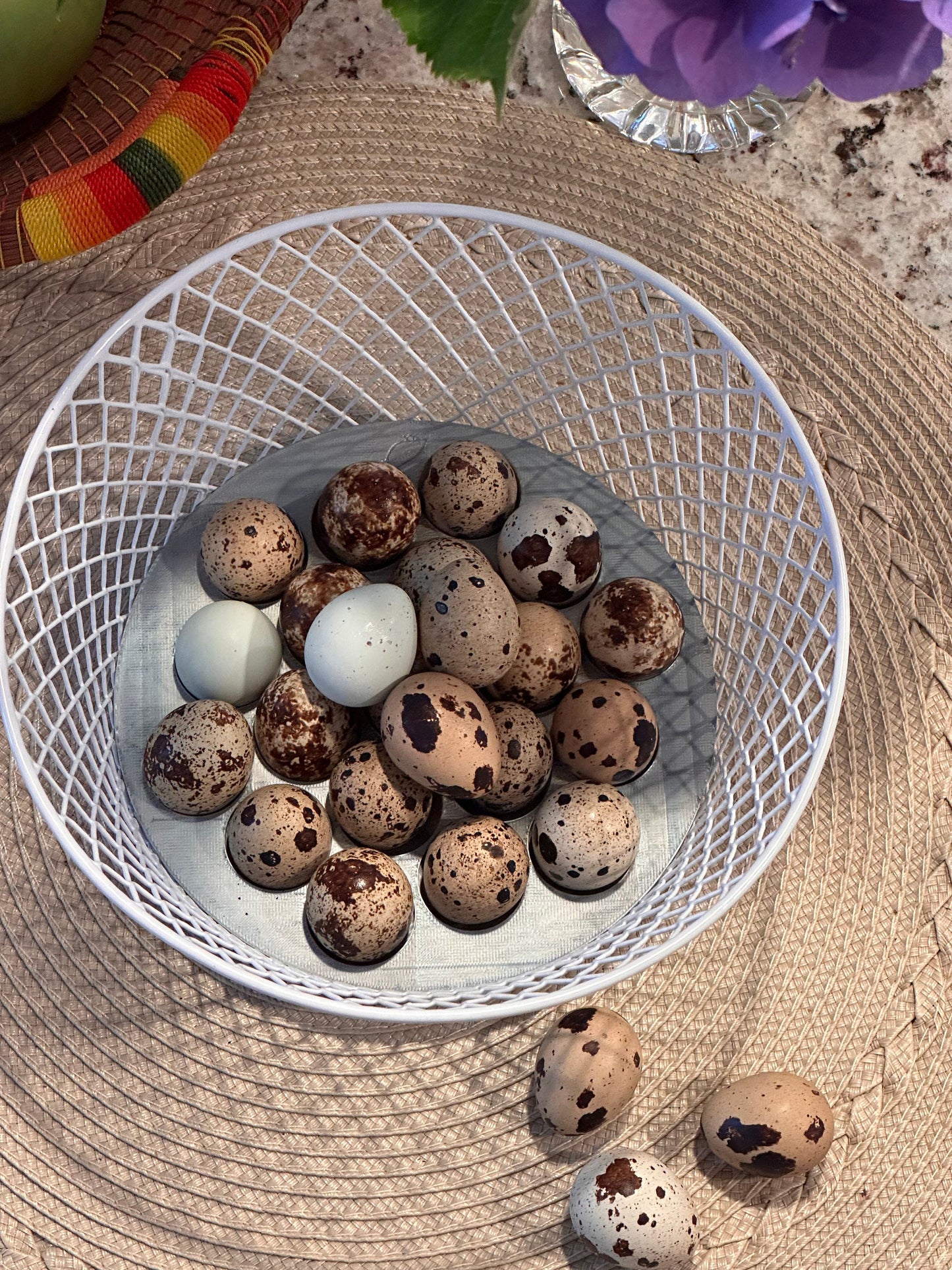 Farmhouse Wire Basket with Quail Egg Tray