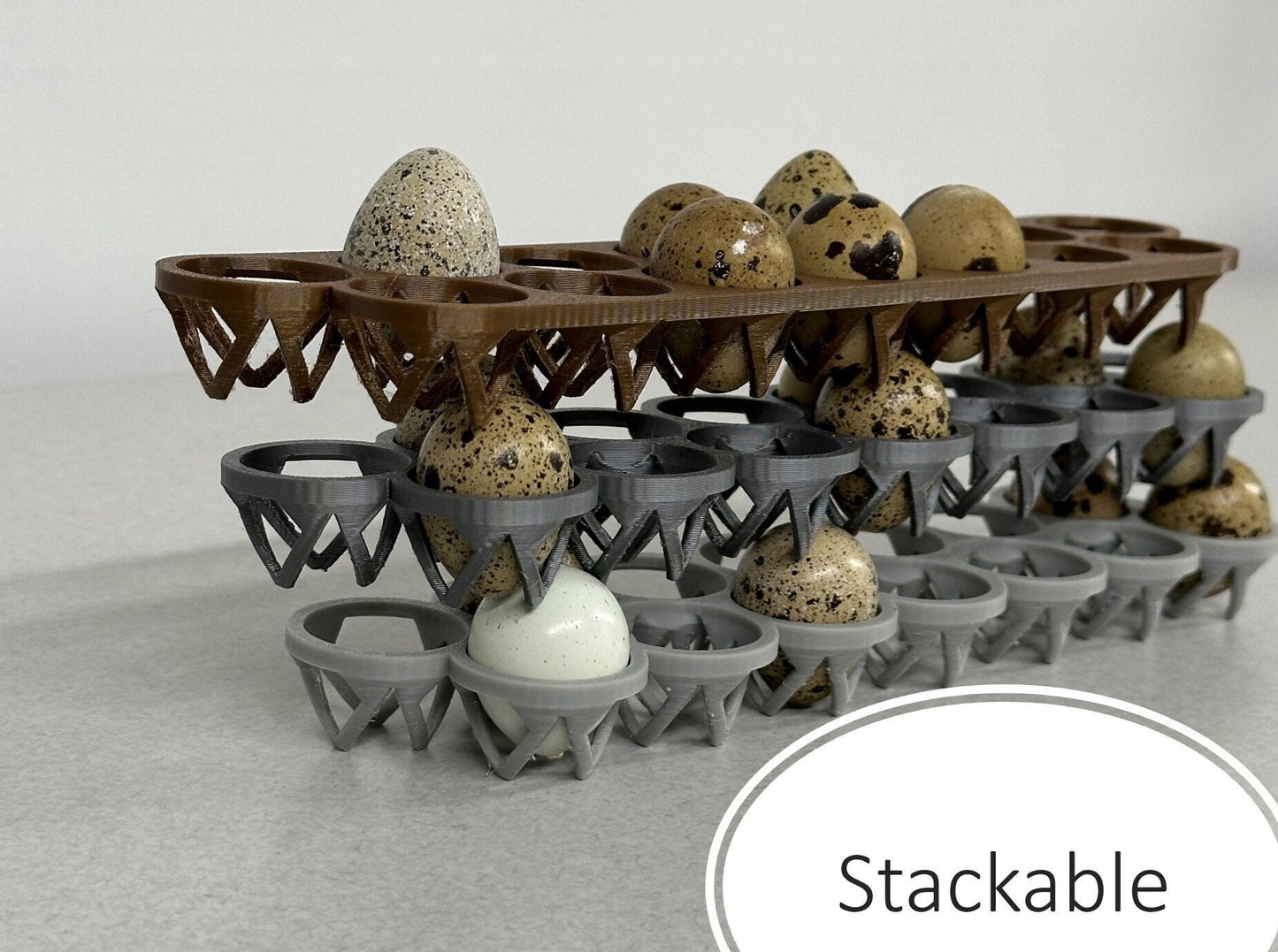 Custom Stackable Coturnix Quail Egg Tray