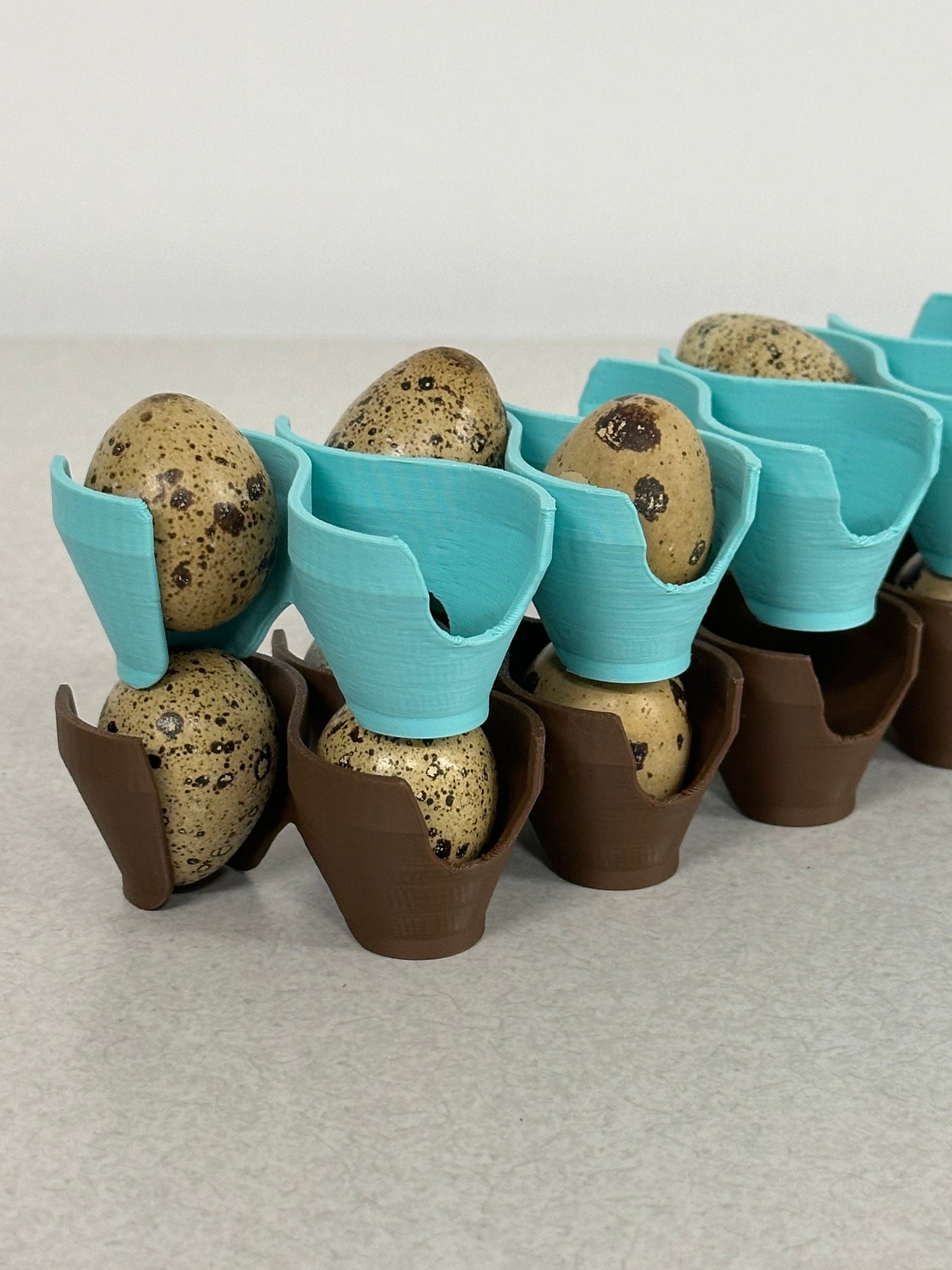 Jumbo Coturnix Quail Egg Stackable Tray