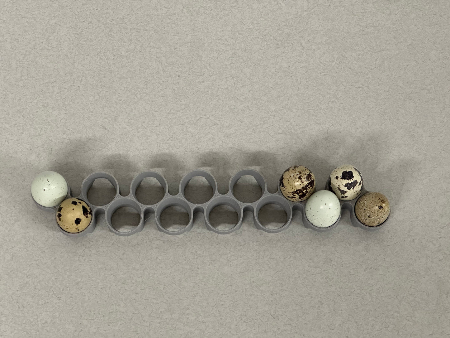 Maticoopx Coturnix Quail Egg Rack for Incubators