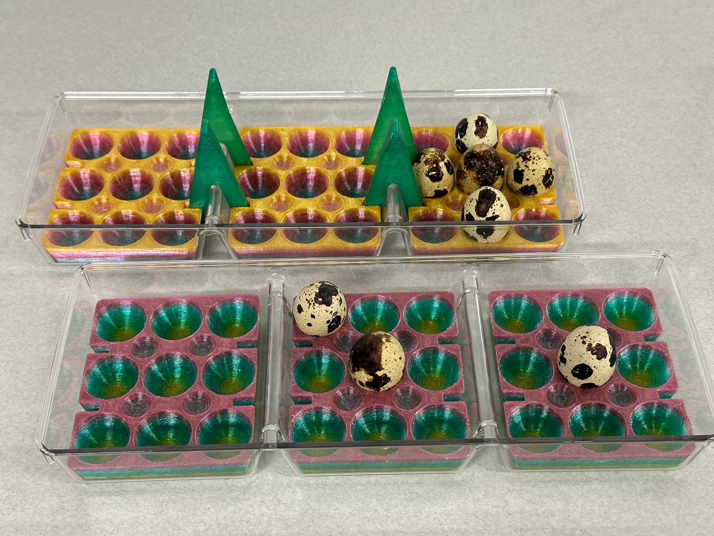 Custom Coturnix Quail Egg Tray System