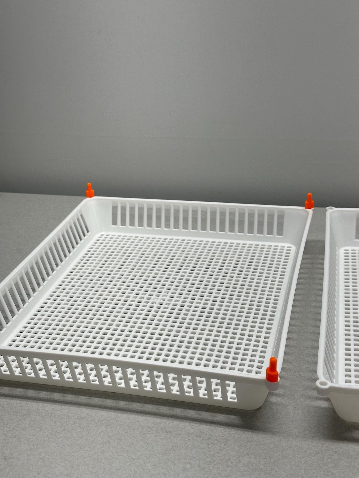 Replacement Pins for Hatching Time Egg Setter Basket (Flexy35Y)