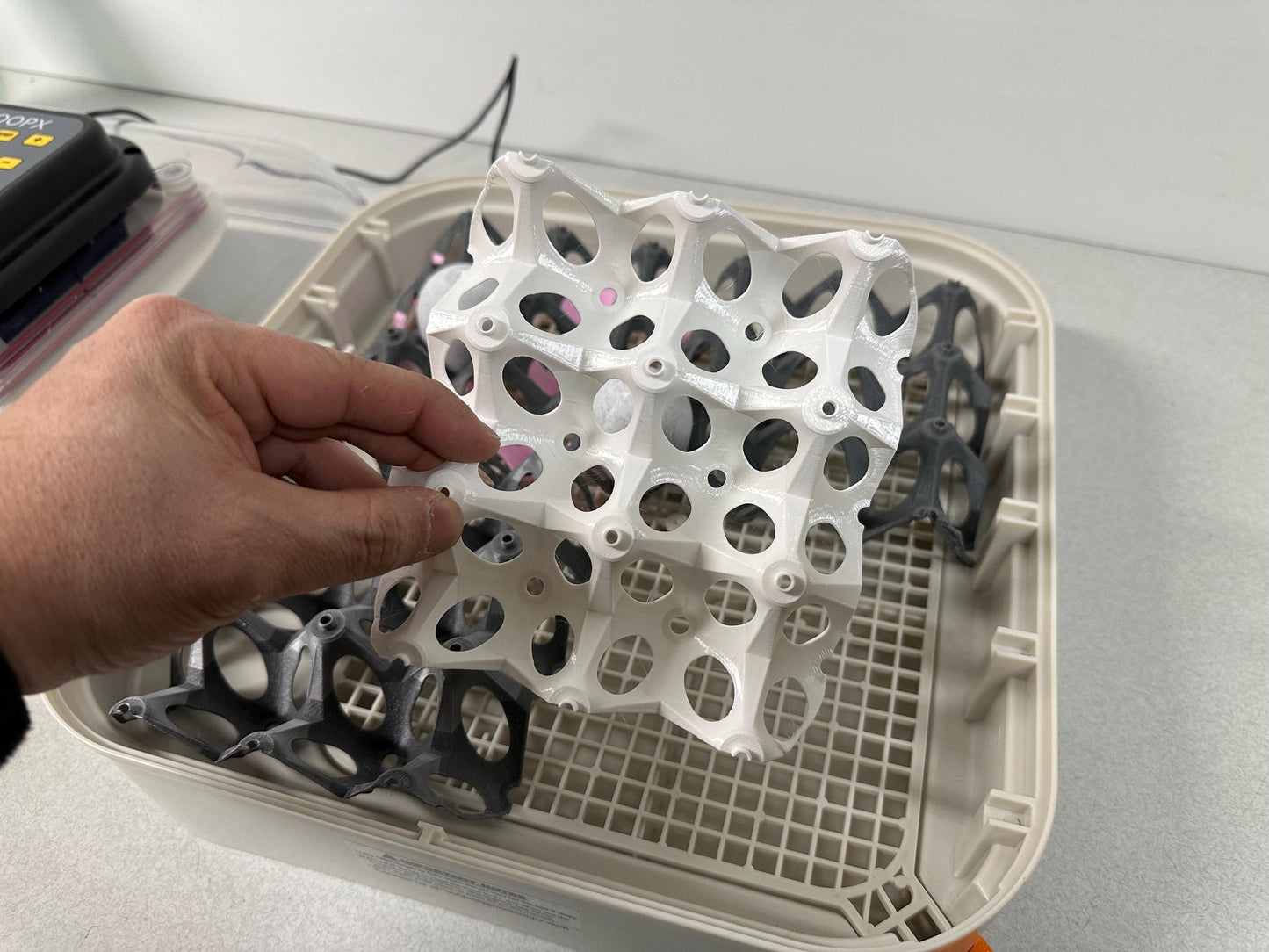 Upright Egg Support Tray for Maticoopx 30